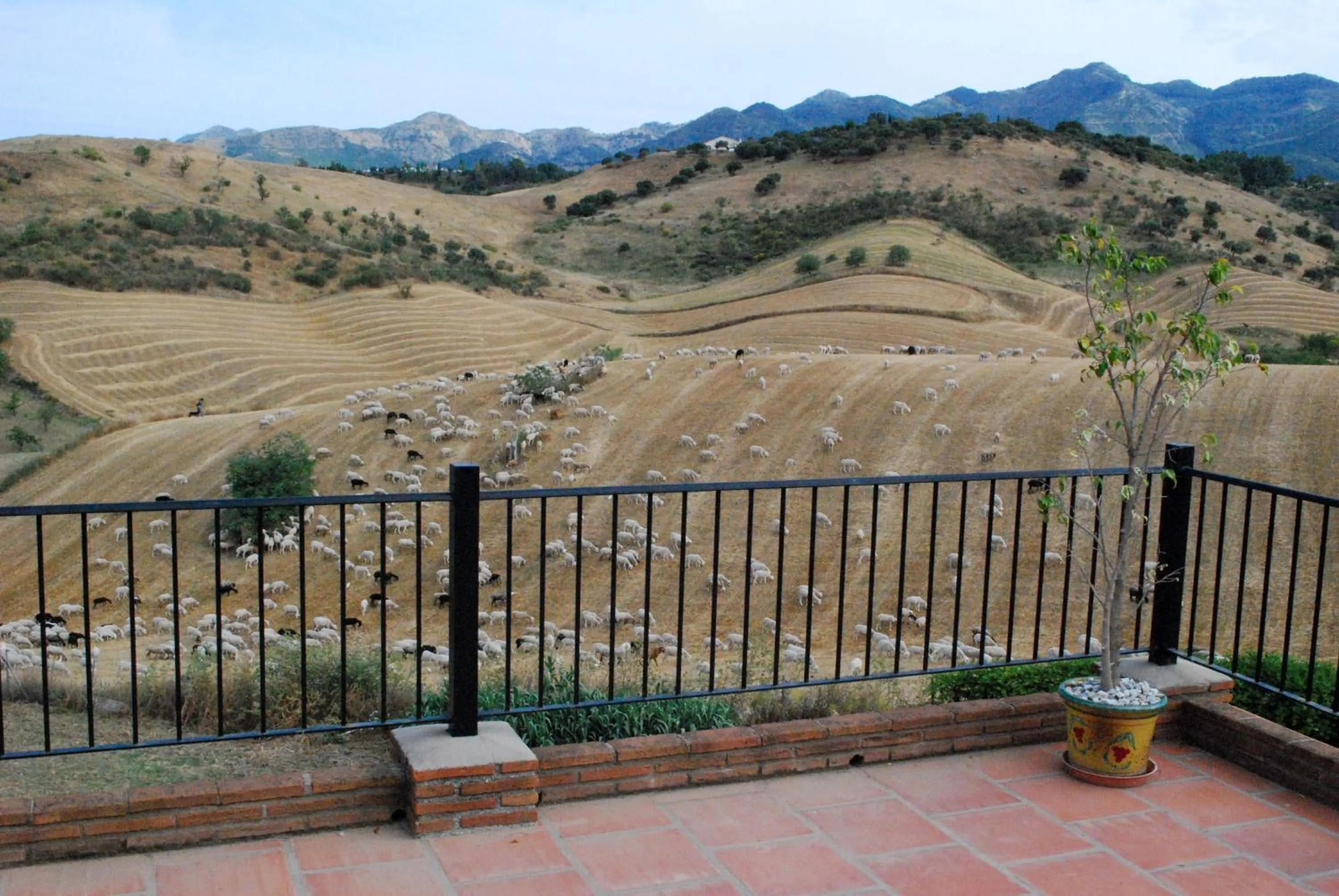 View (from property/room) in Bed & Breakfast Finca de los Sueños