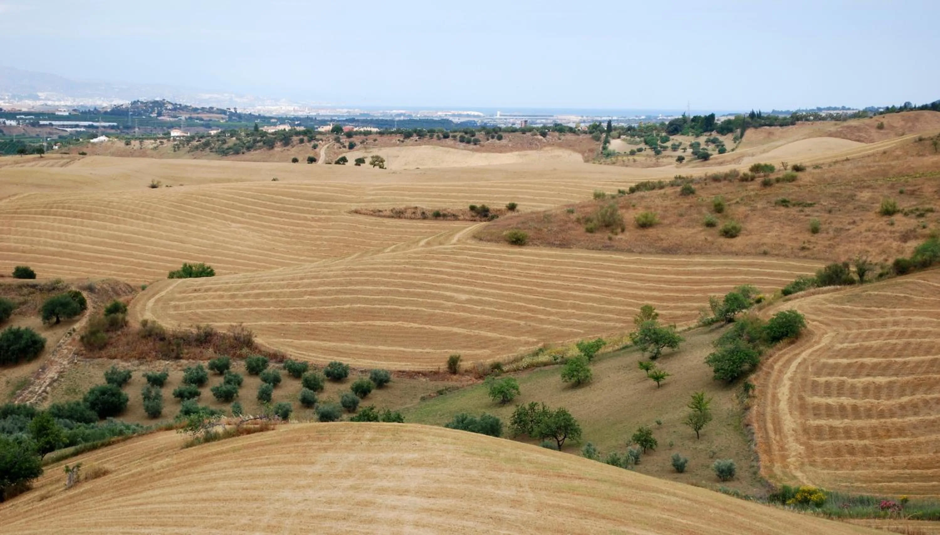 View (from property/room) in Bed & Breakfast Finca de los Sueños