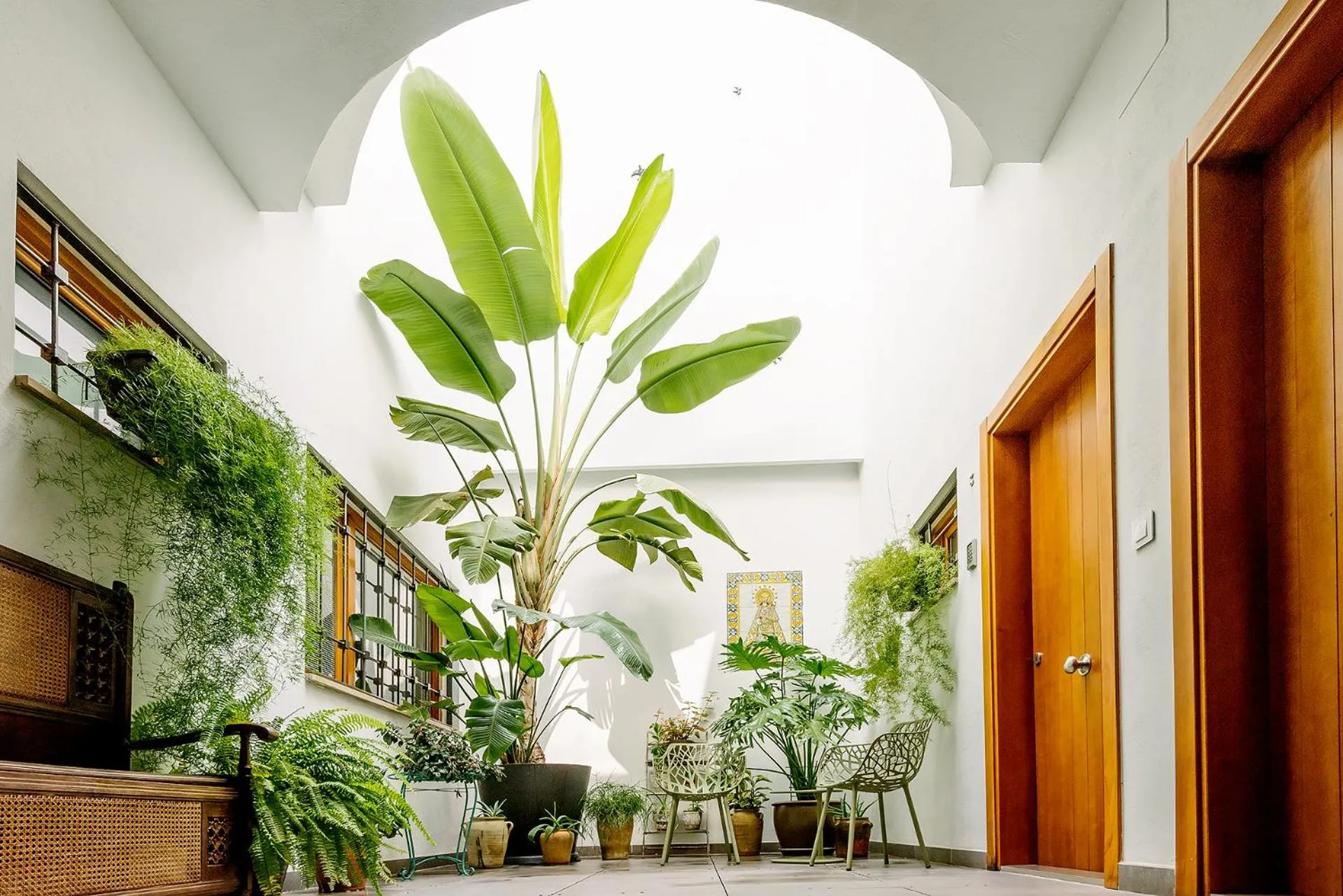 Patio in Barracart Apartments