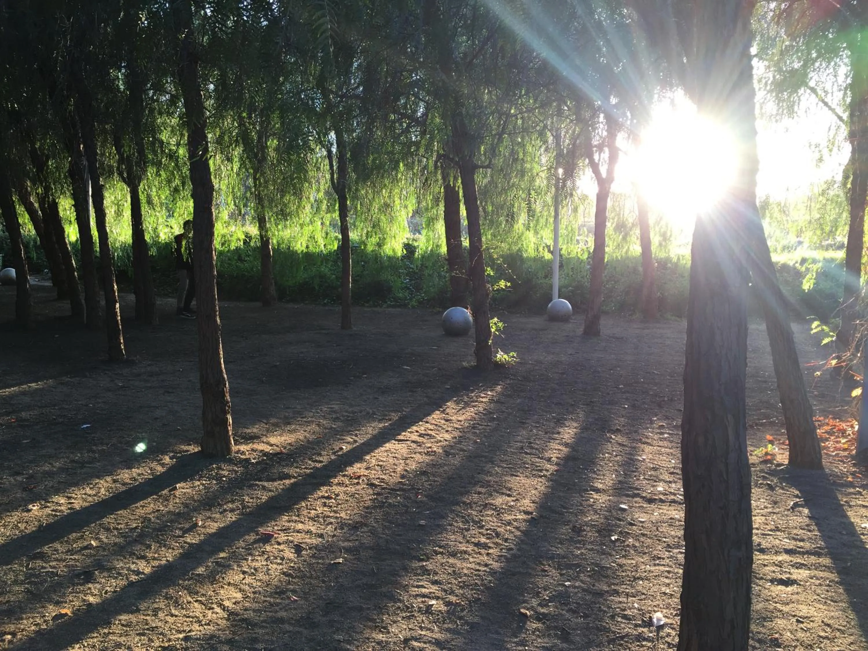 Nearby landmark in Dalí Residence