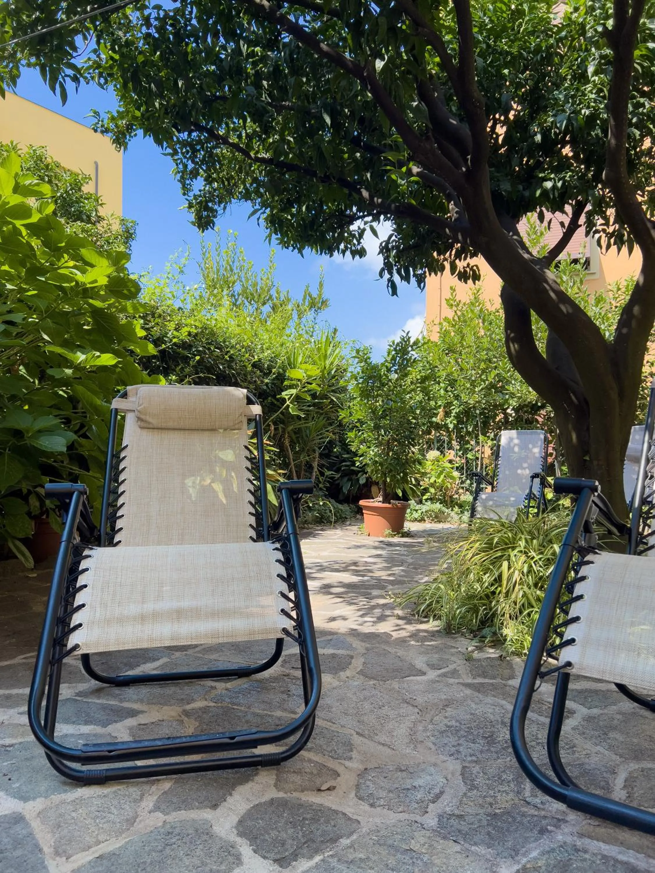 Garden in Casa Mary Levanto