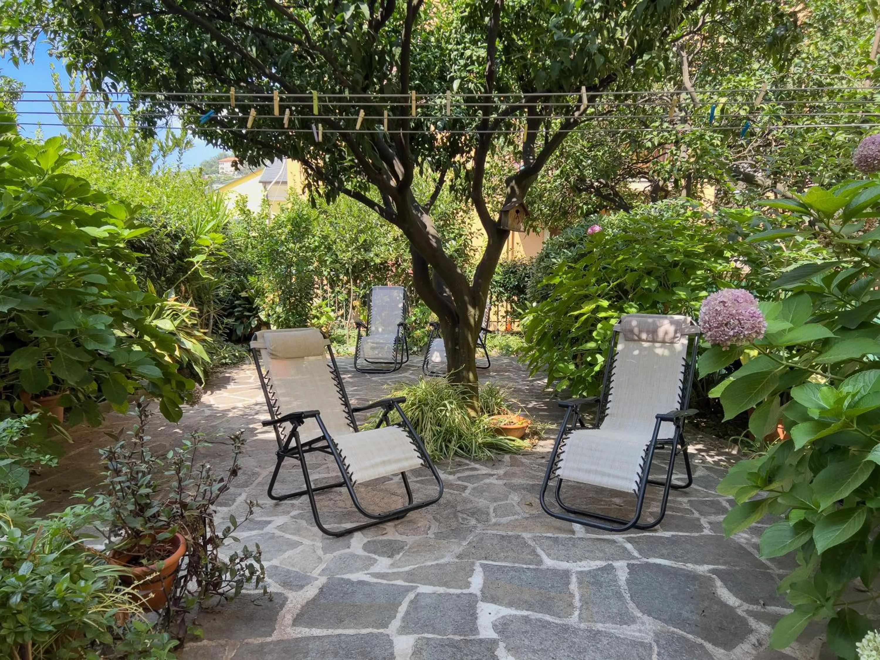 Garden in Casa Mary Levanto