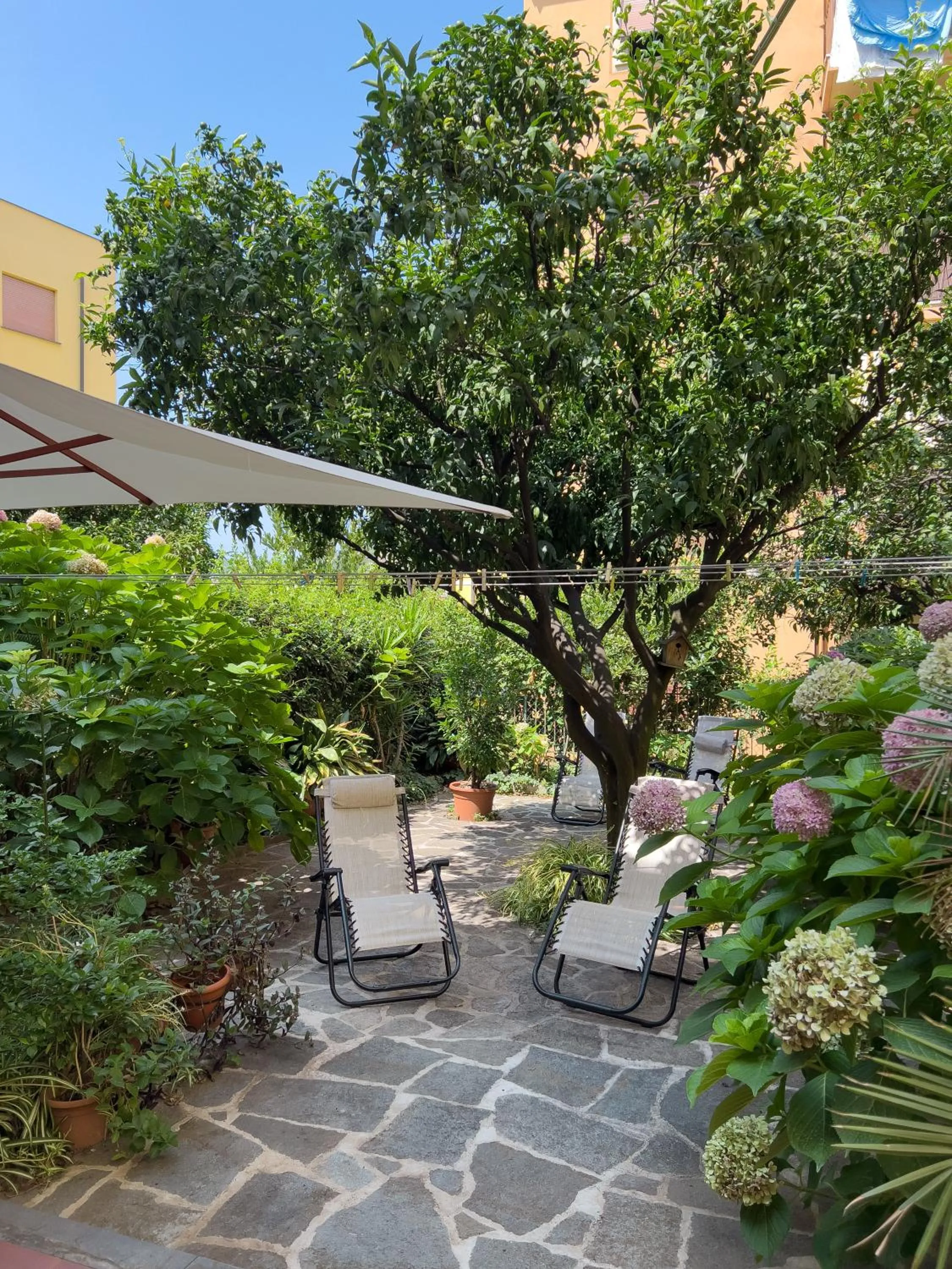 Garden in Casa Mary Levanto