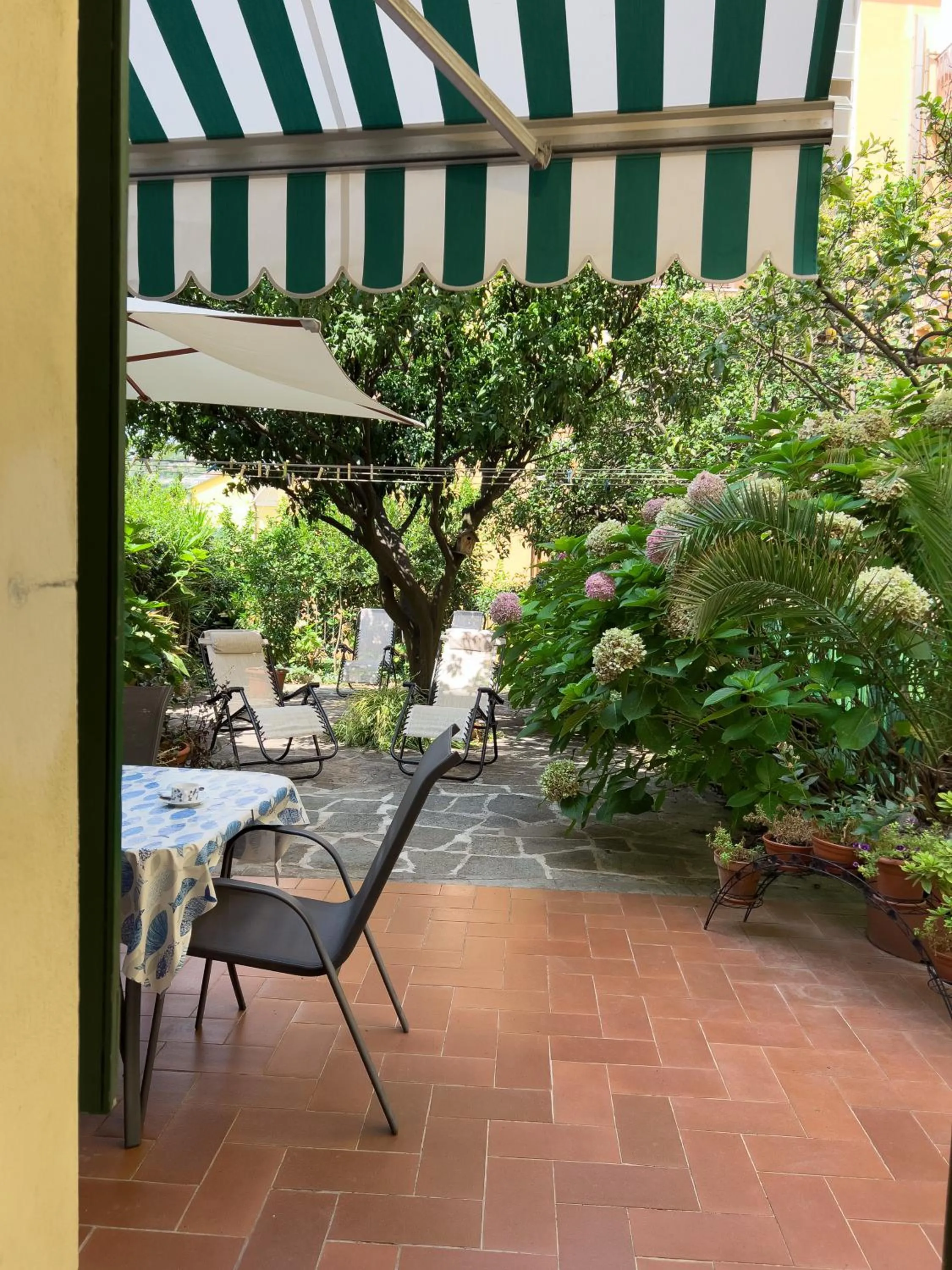 Garden in Casa Mary Levanto