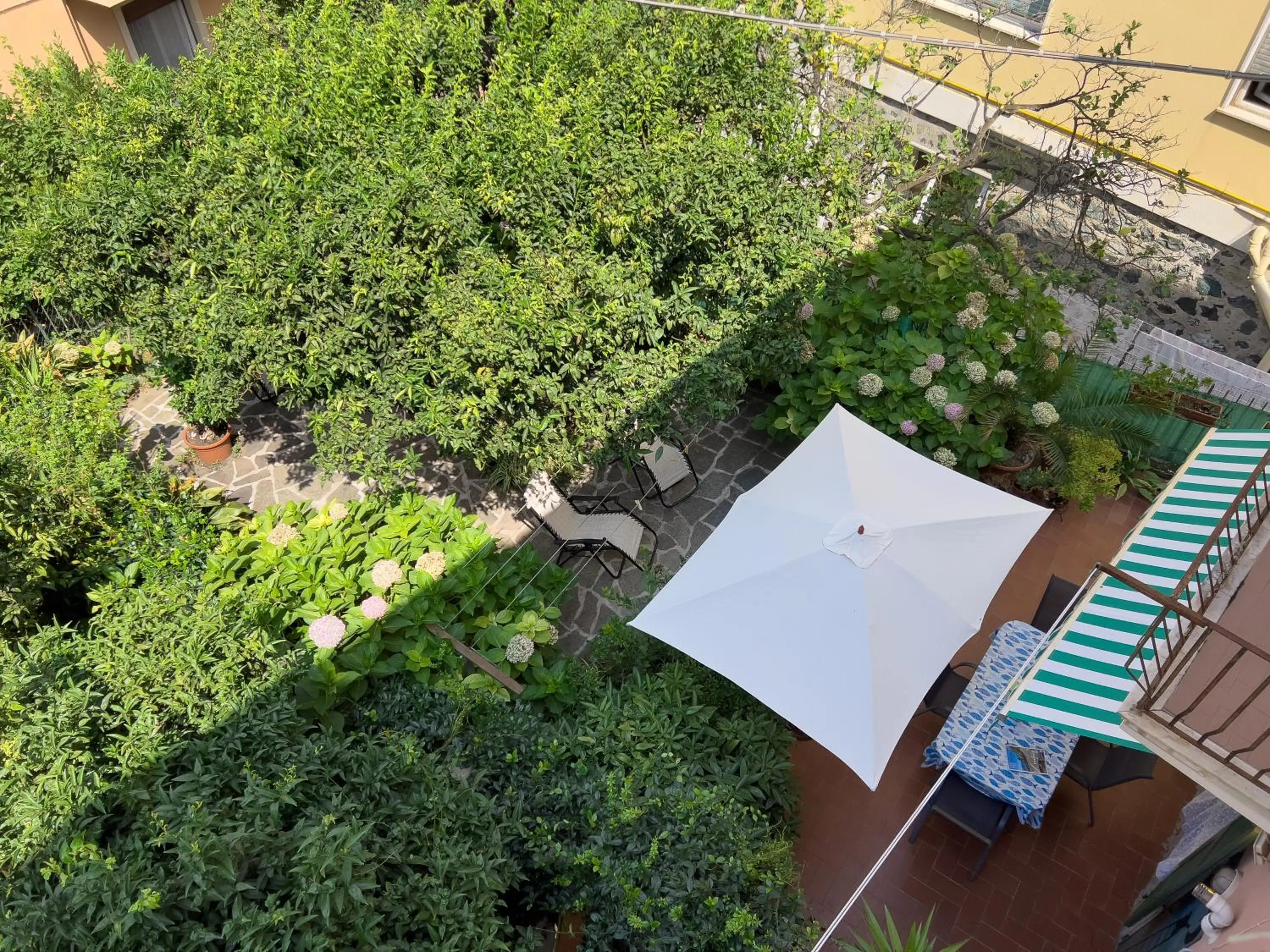 Garden in Casa Mary Levanto