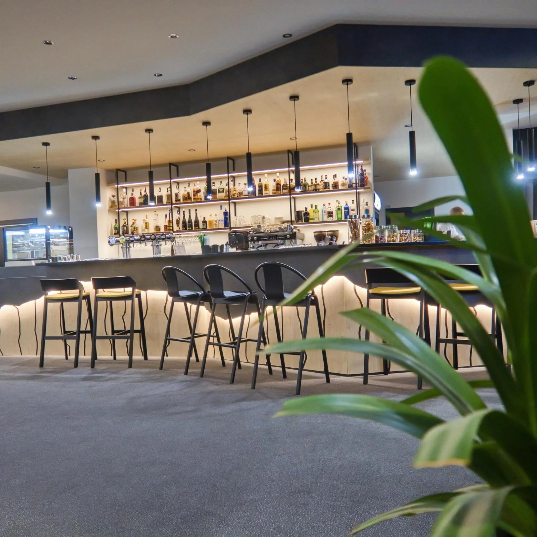 Hotel Srní a Depandance