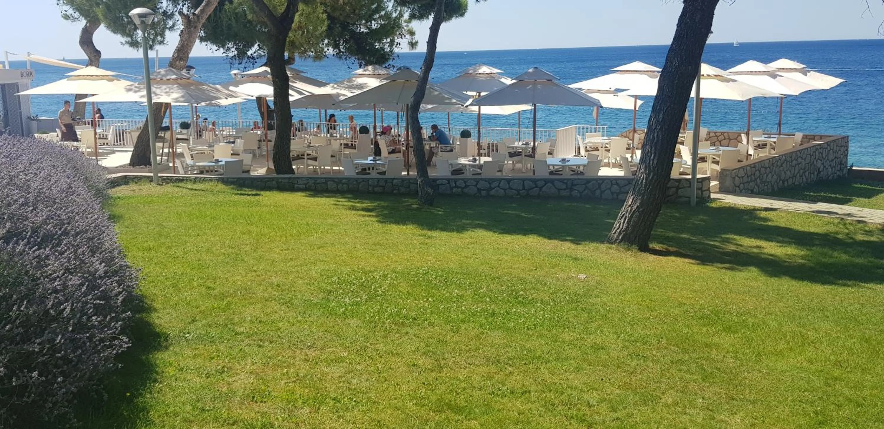 Area and facilities in Family Hotel Vespera