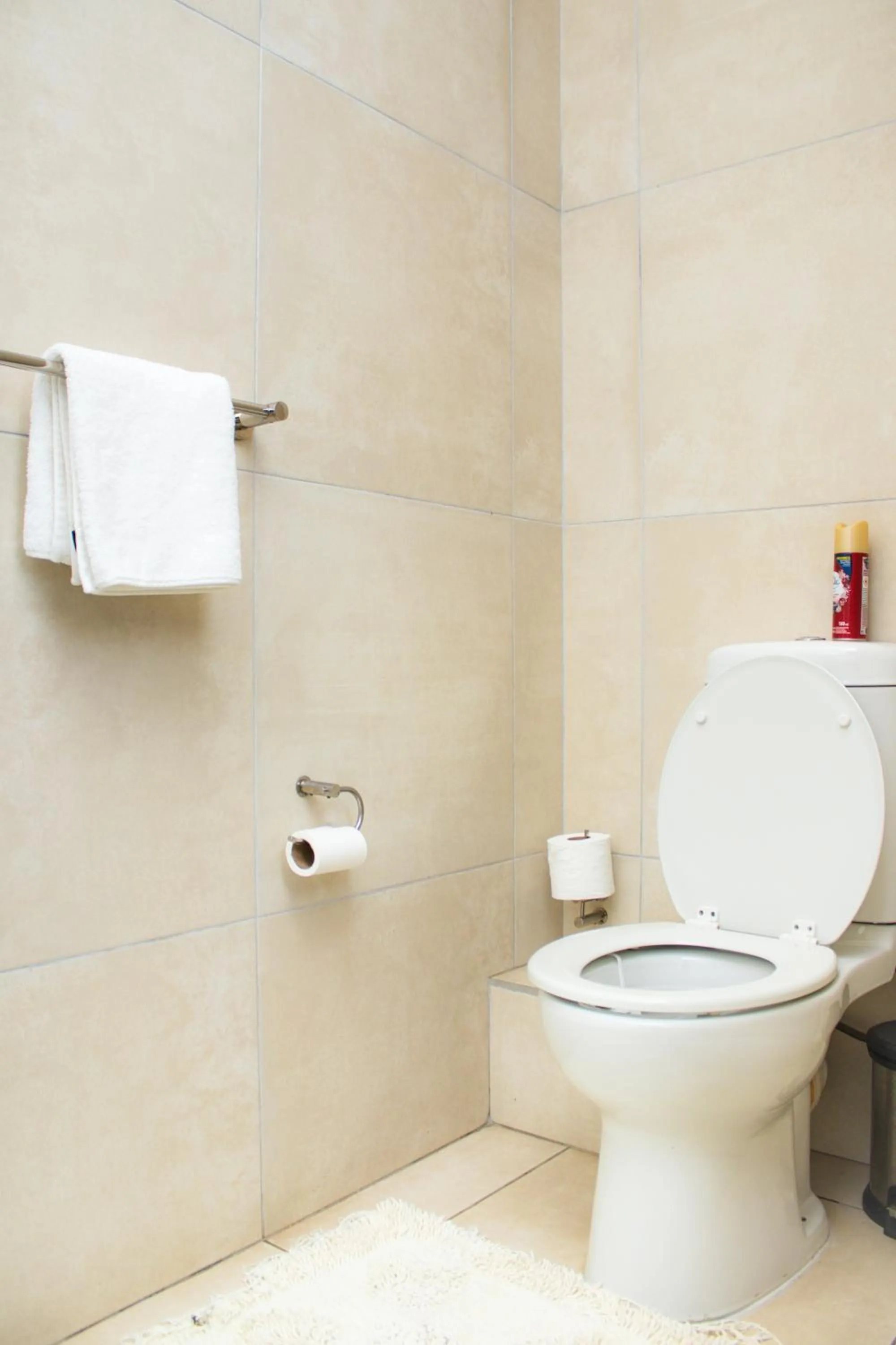 Toilet in Beechwood B&B