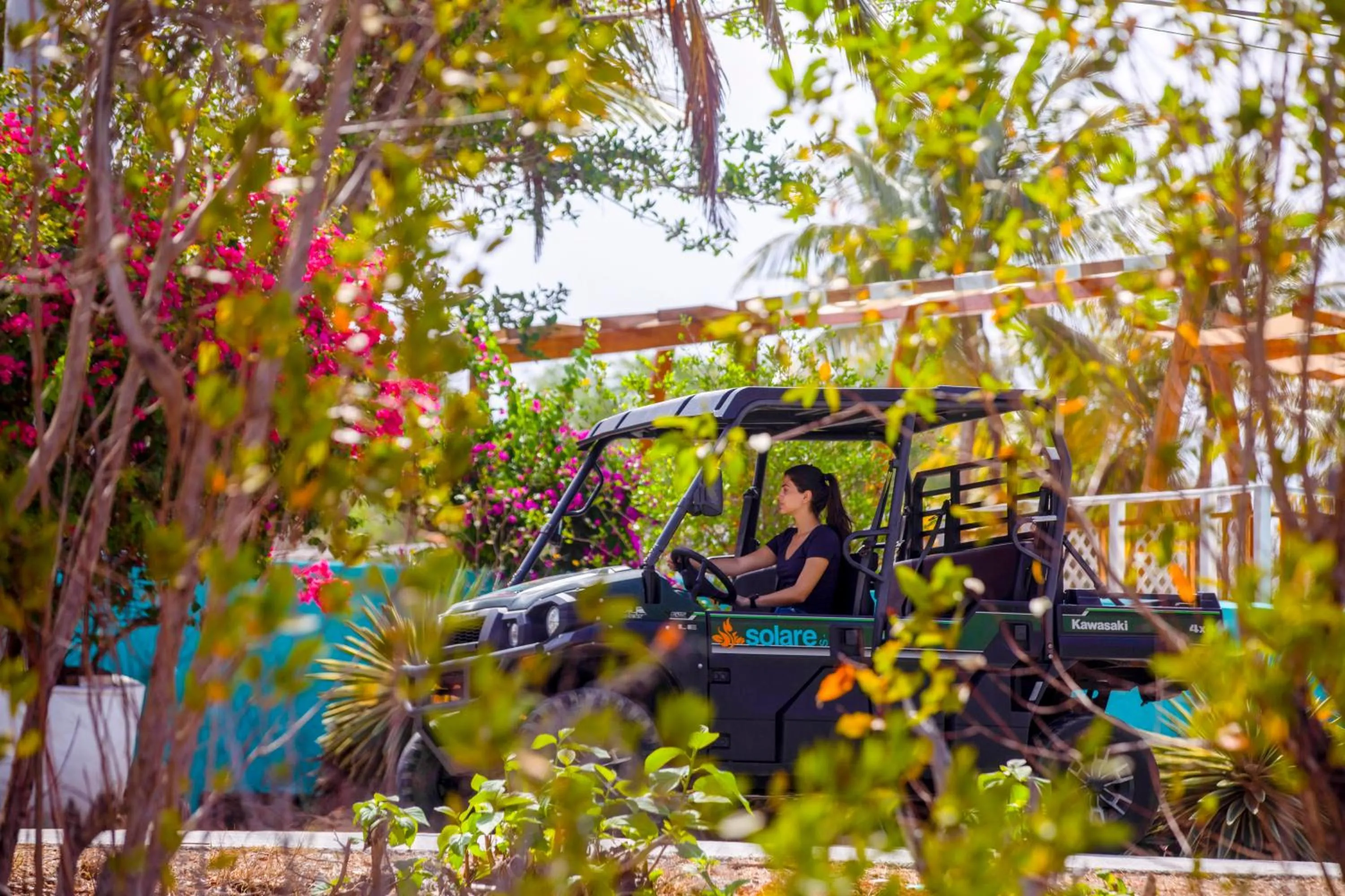 Entertainment in Solare SAI Ecohotel