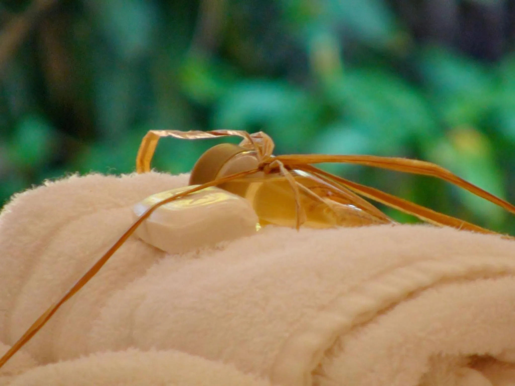 Decorative detail in Polokwane Place