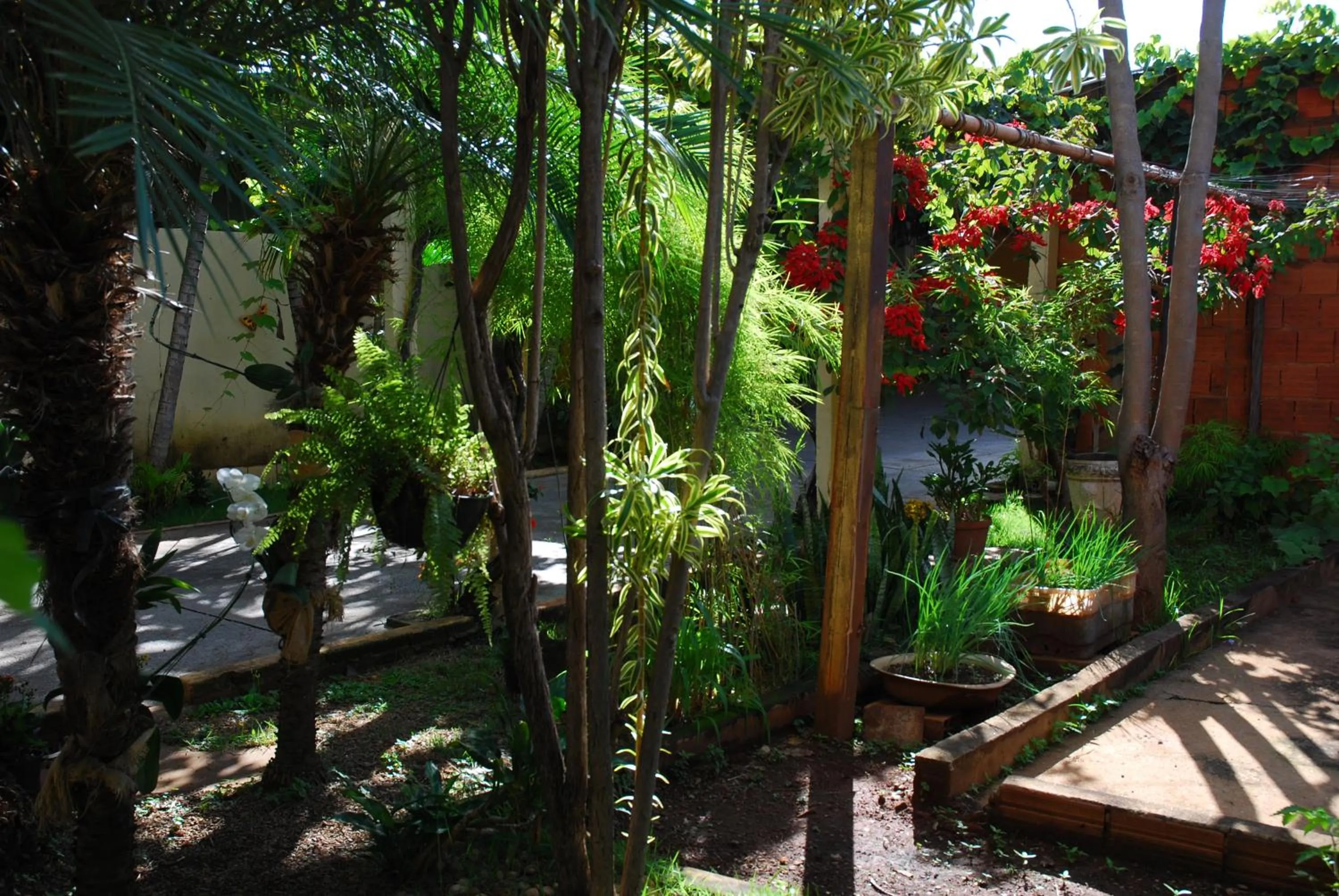 Garden in Pousada Ana Poipa
