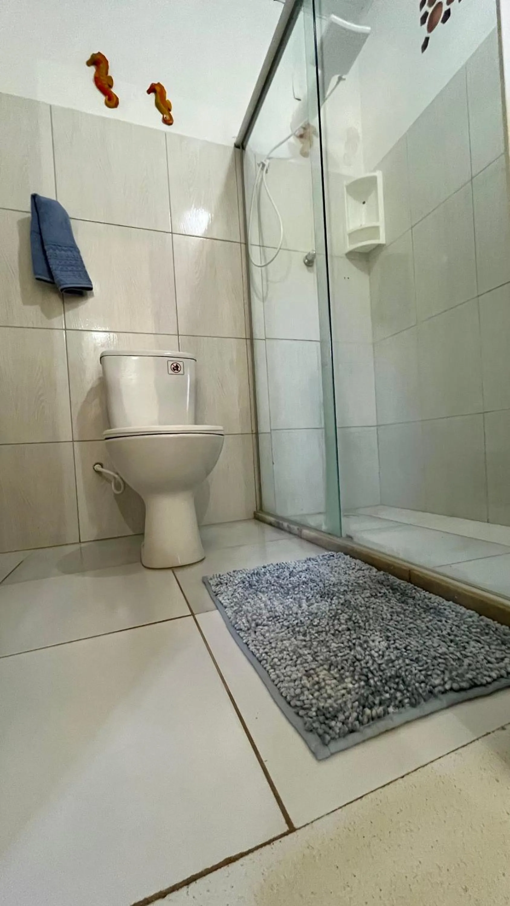 Shower in Pousada Estrela do Mar