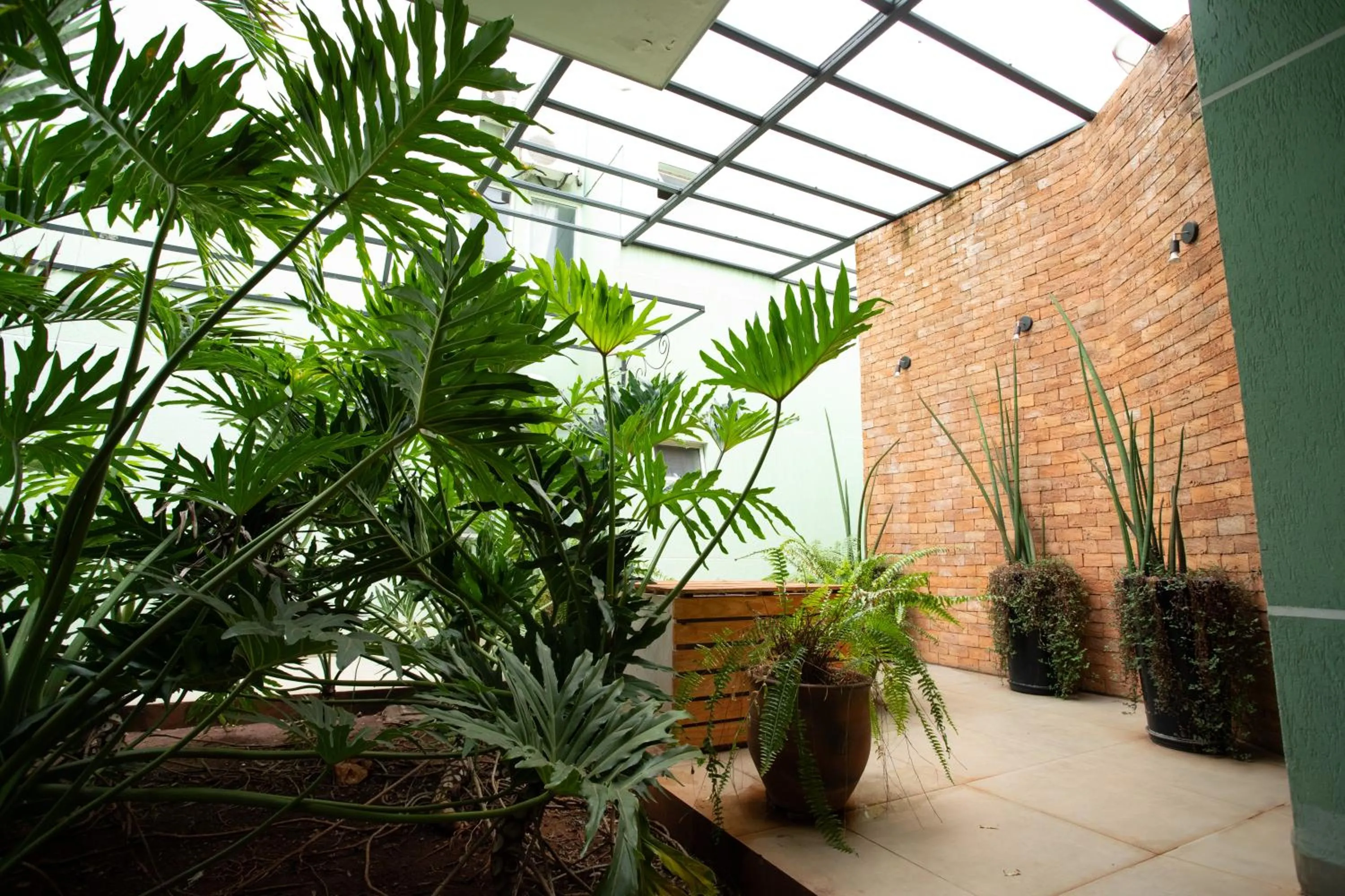 Garden in Ellus Hotel