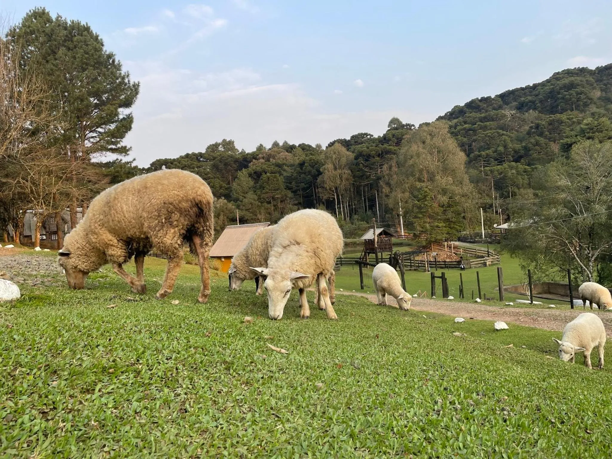 Garden in Cabanas em Canela - Leão da Tribo de Judá- Refúgio com Piscina
