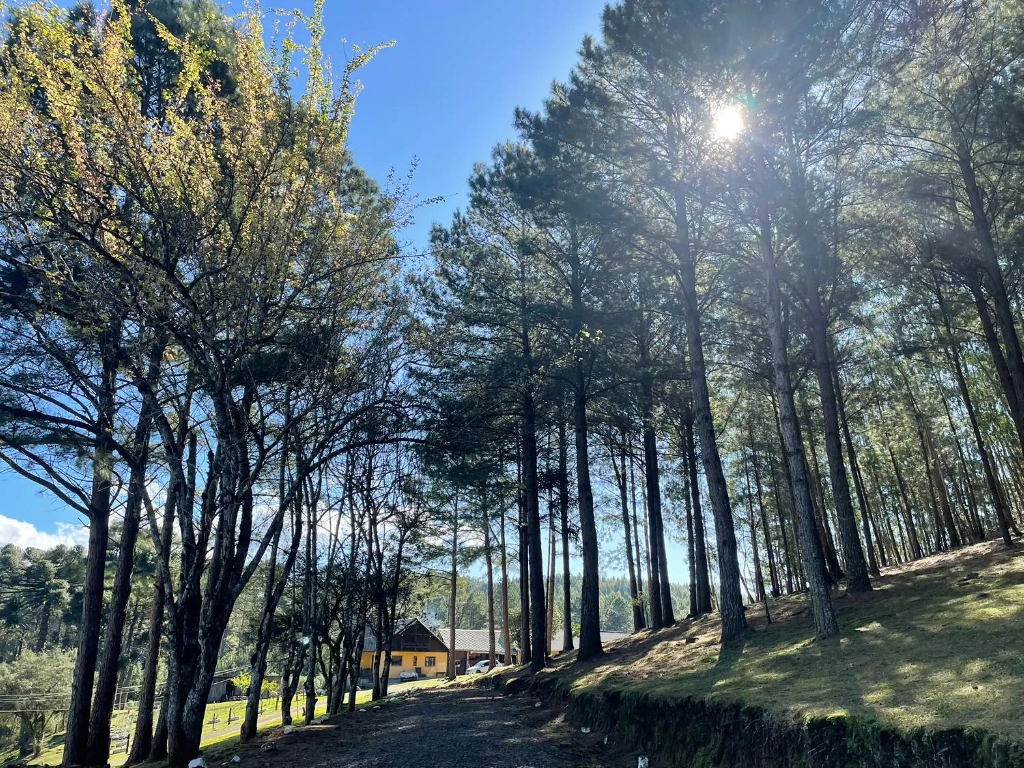 Garden in Cabanas em Canela - Leão da Tribo de Judá- Refúgio com Piscina