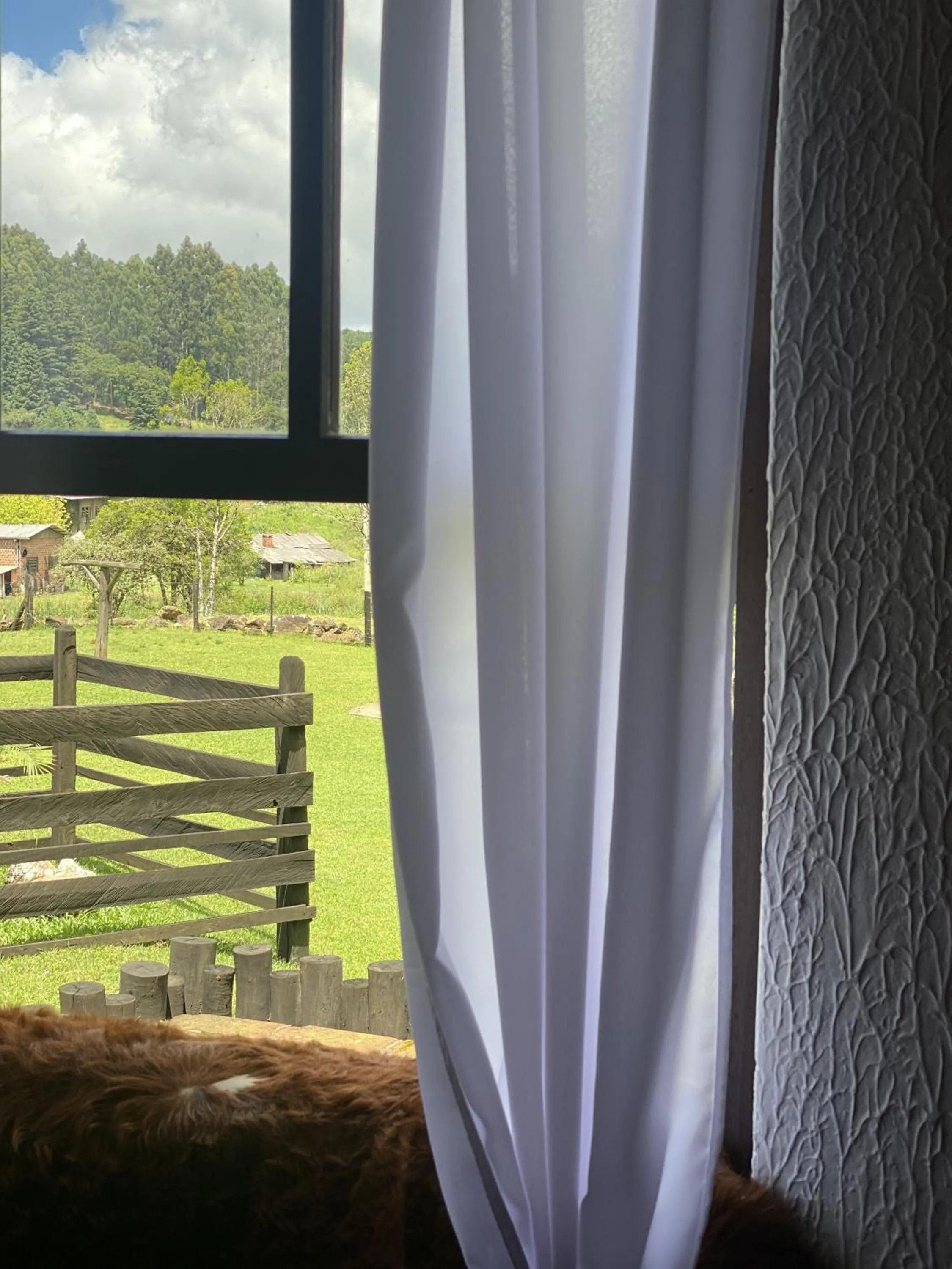Natural landscape in Cabanas em Canela - Leão da Tribo de Judá- Refúgio com Piscina