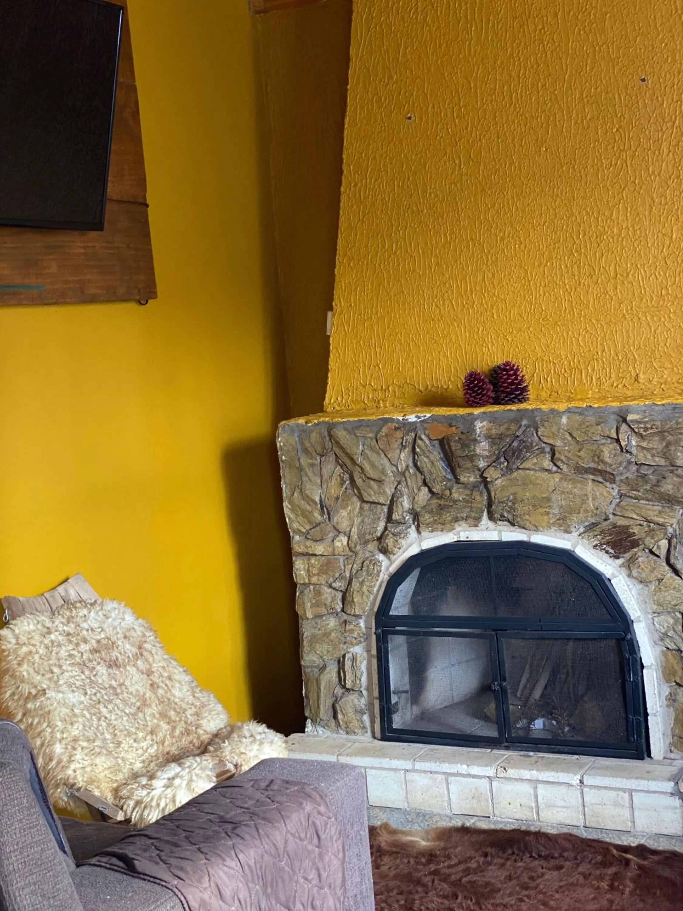 fireplace in Cabanas em Canela - Leão da Tribo de Judá- Refúgio com Piscina