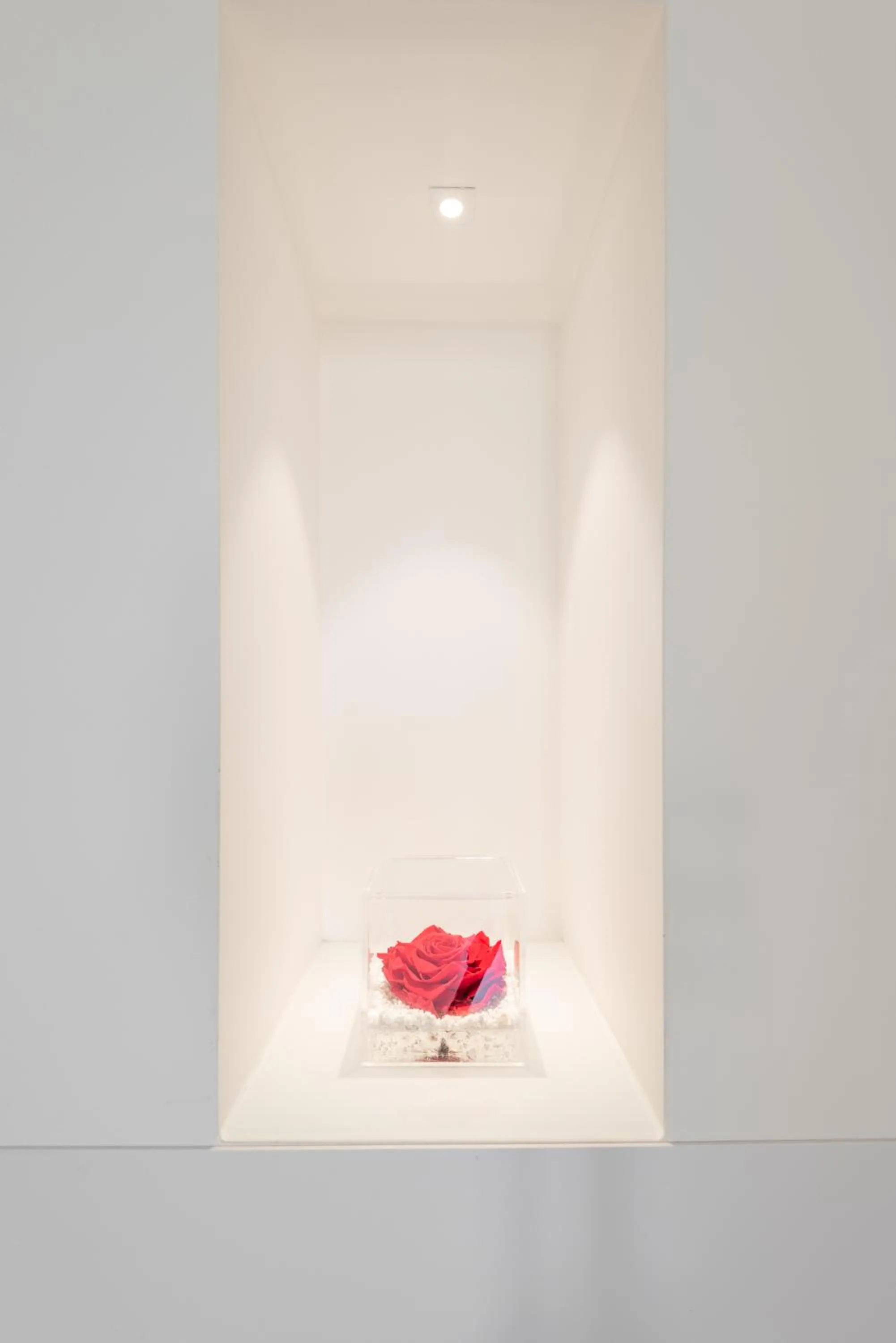 Vittorio Veneto Matera Luxury Rooms