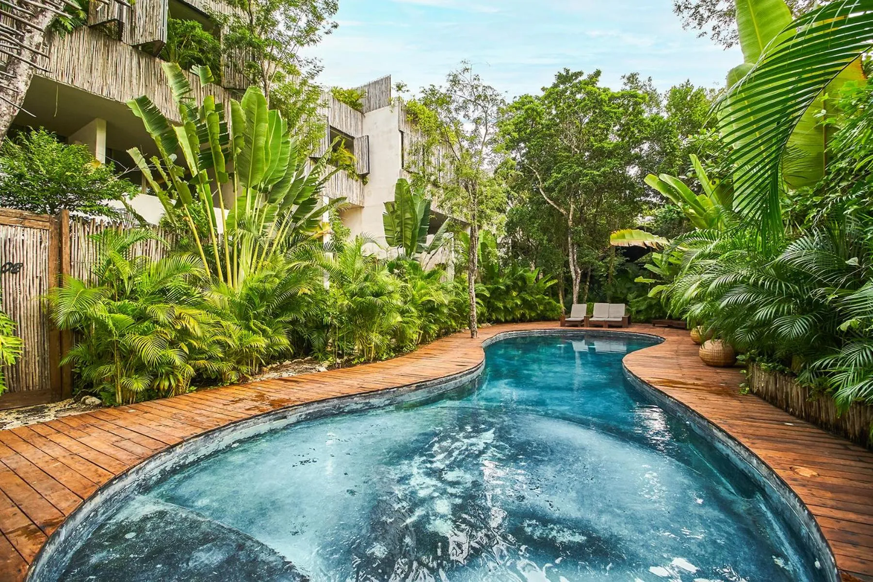 Swimming pool in Eco-chic Design Condos Wrapped in Nature's Elements by Stella Rentals