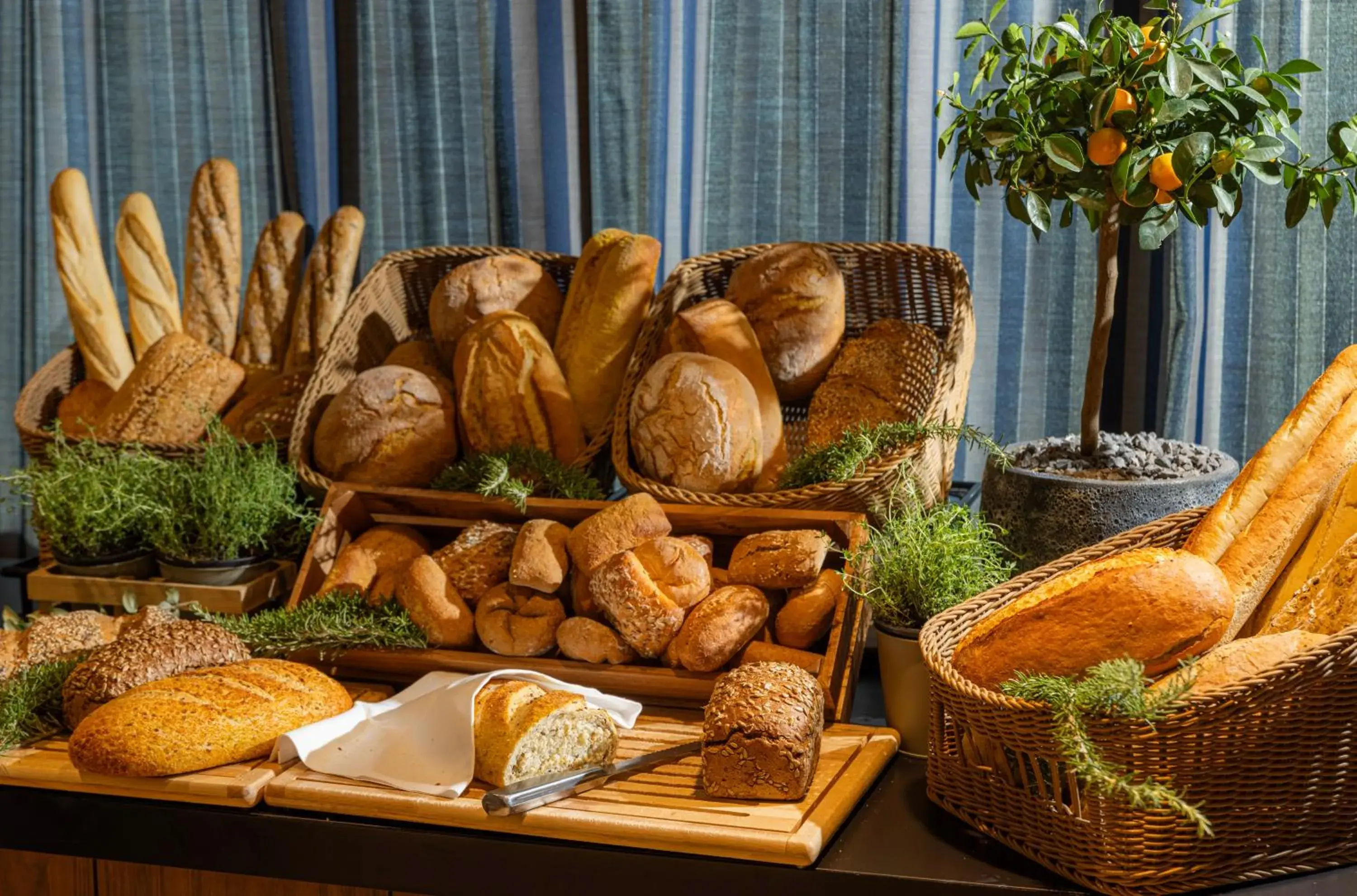 Restaurant/places to eat in Family Hotel Pagus - All Inclusive Restaurant/places to eat in Family Hotel Pagus - All Inclusive