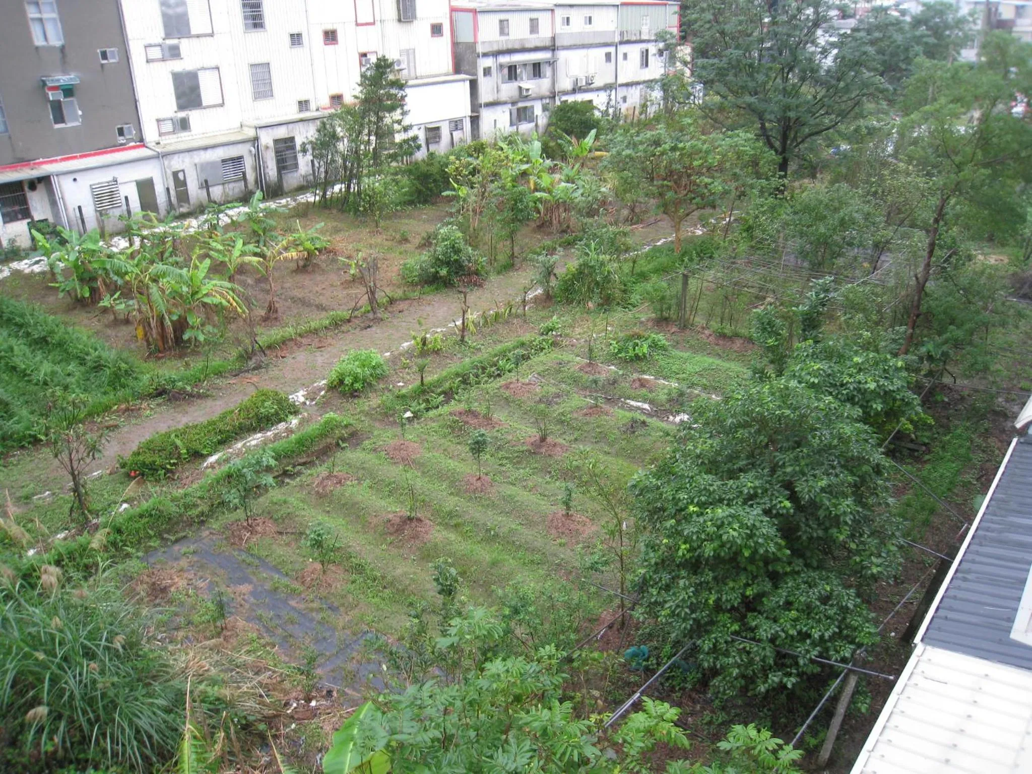 Off site in Feng-Tian Inn