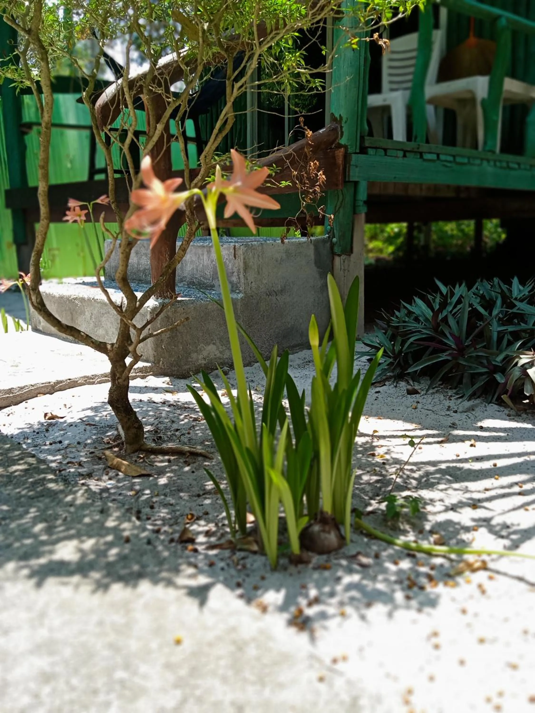 New Andaman Bay Bungalow