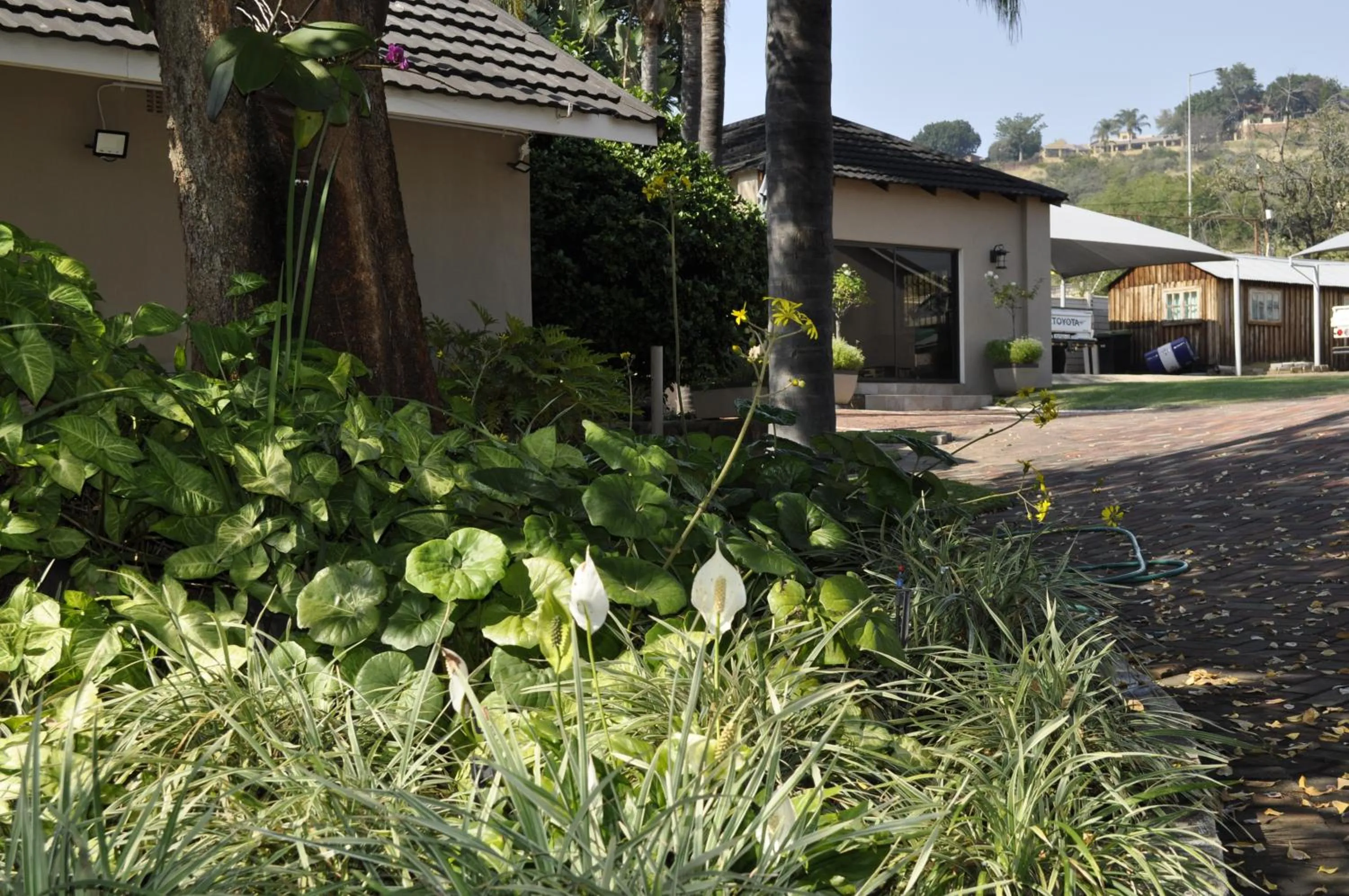 Property building in Cashan BnB