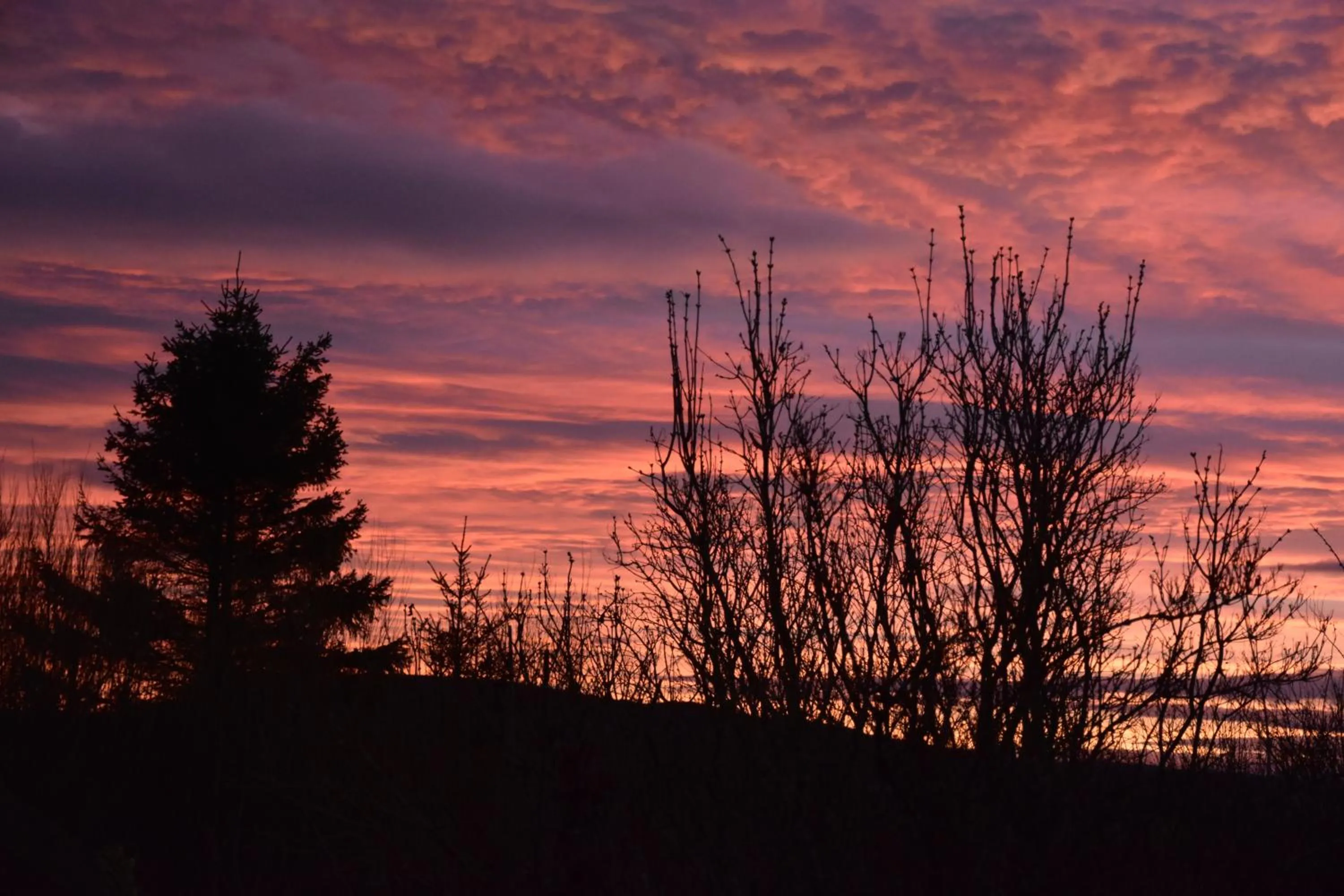 Garden in Chapelhill Croft