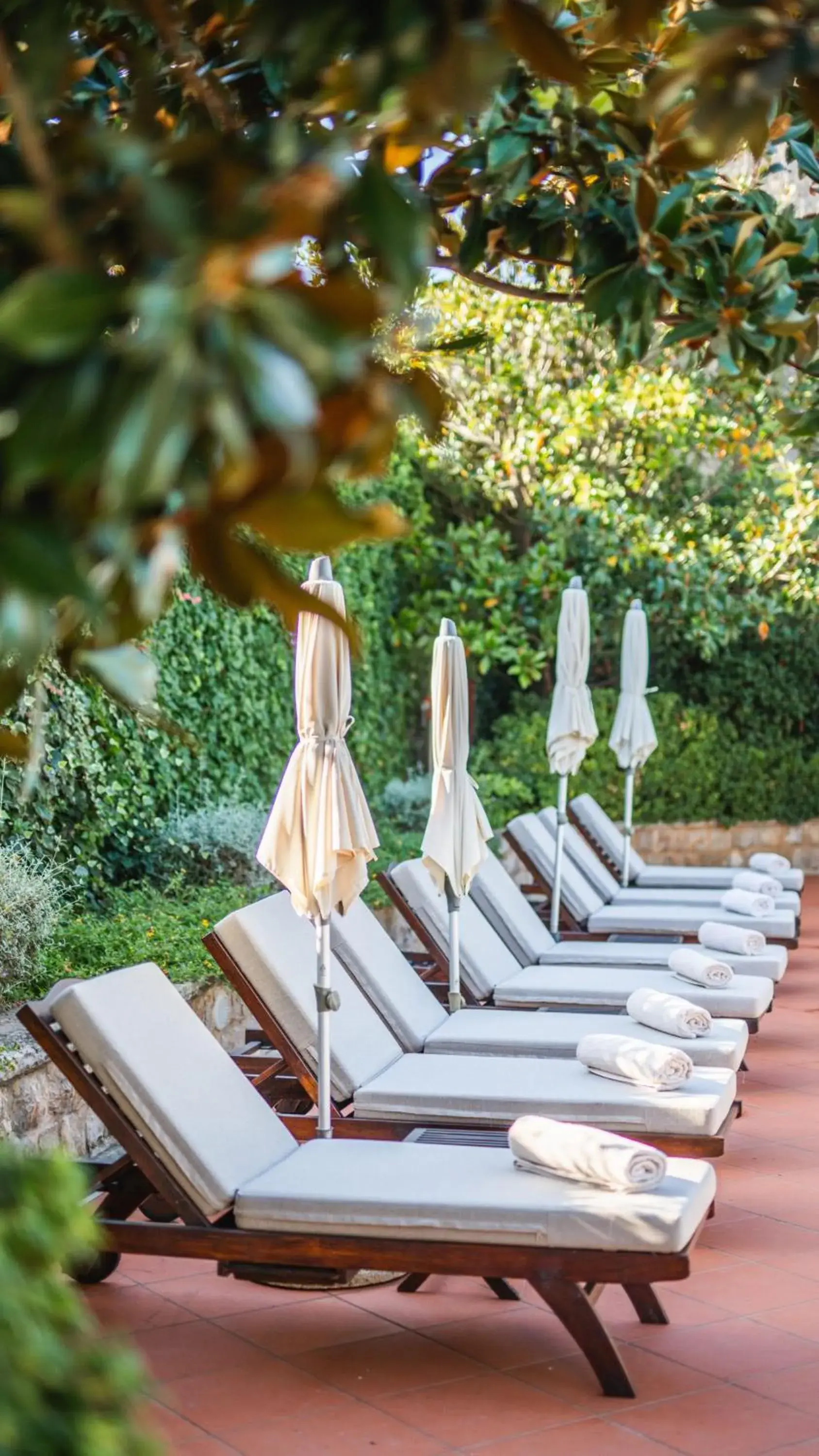 sunbed in Boutique Hotel Kazbek sunbed in Boutique Hotel Kazbek