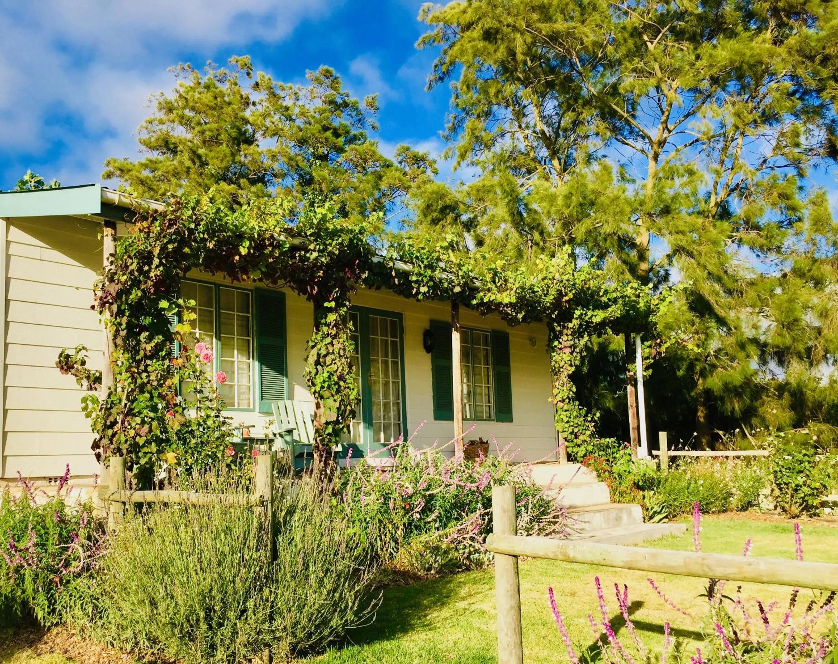 Cheverells Farm, Kiku & Braeburn Cottage