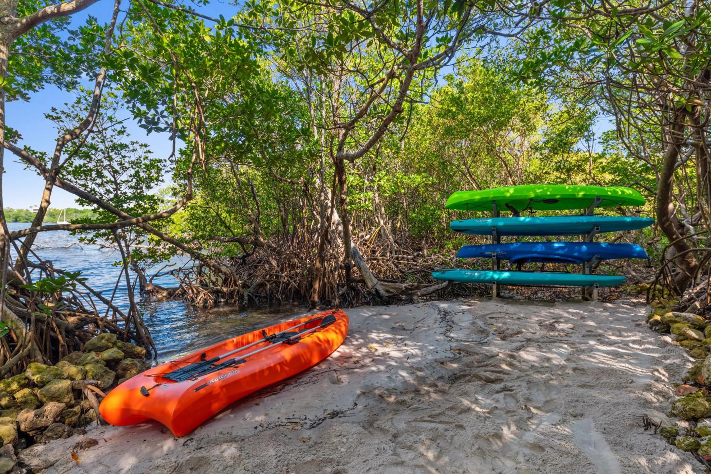 Activities in La Dolce Vita