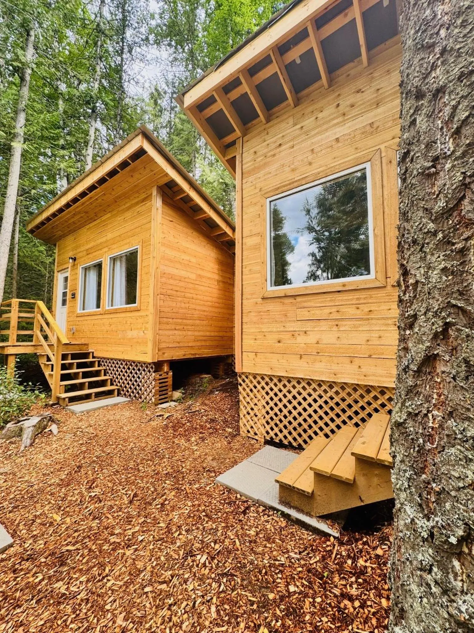 Cedar Haven Cabins and Resort