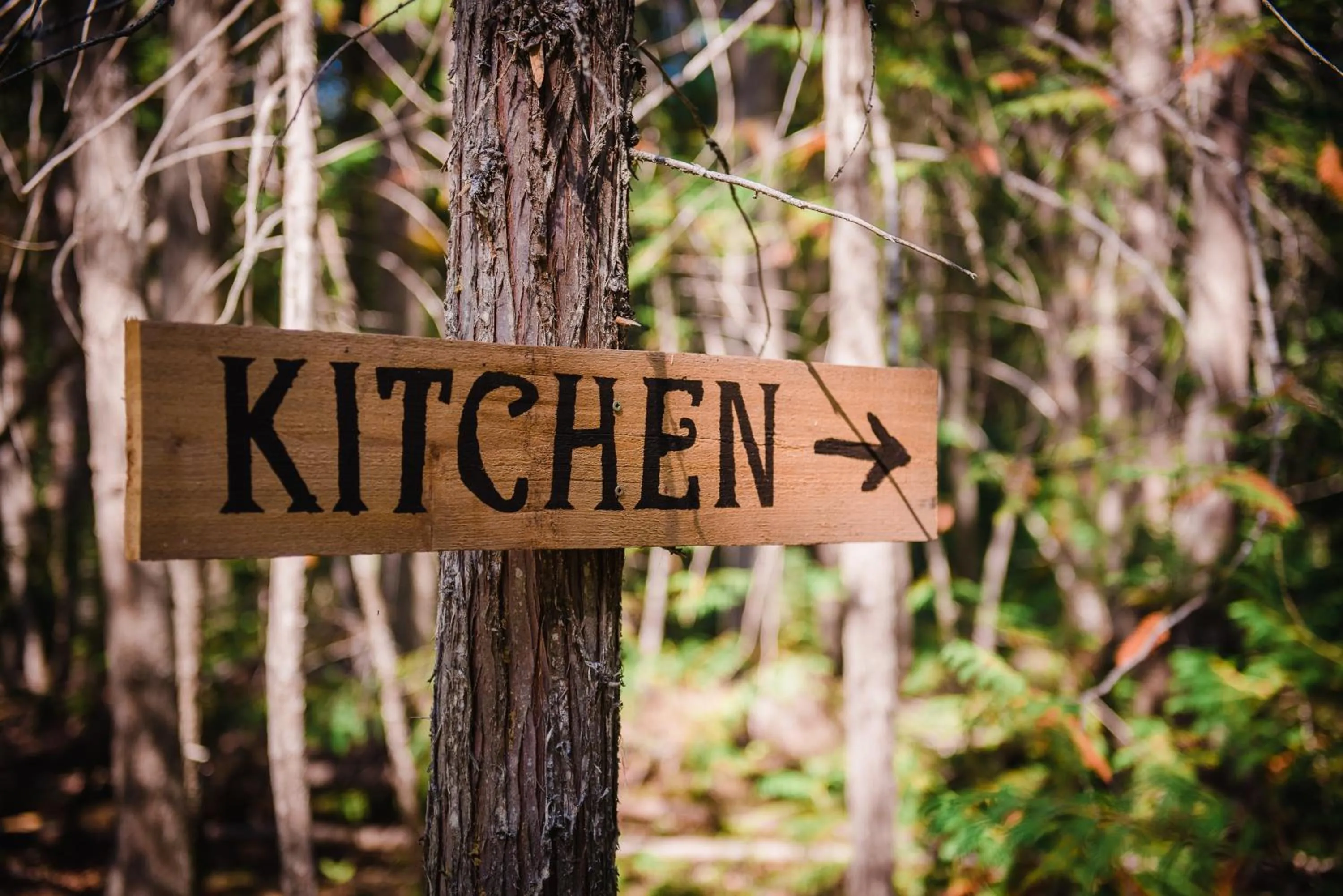 Communal kitchen in Cedar Haven Cabins and Resort
