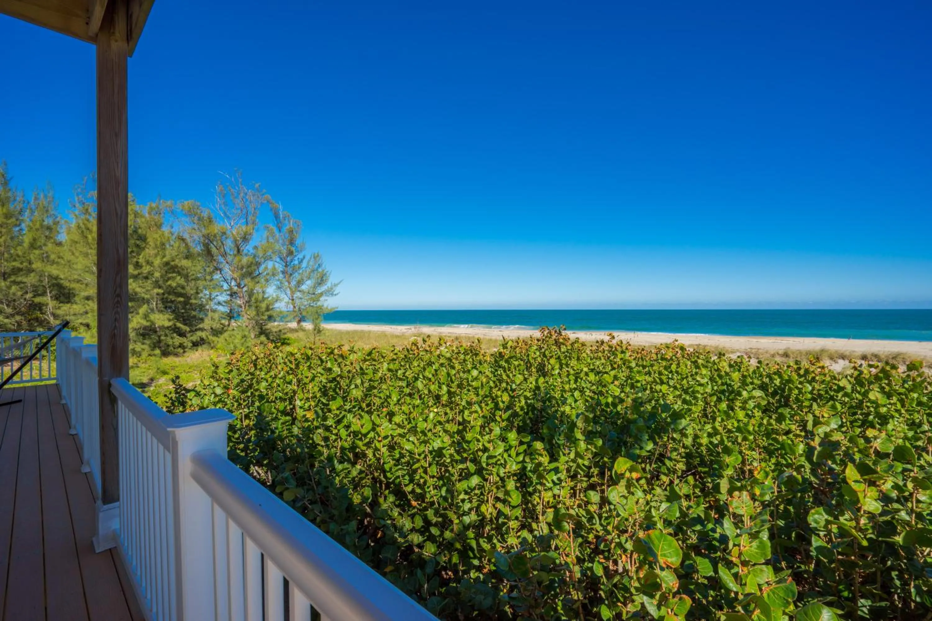 Patio in Bella Vista