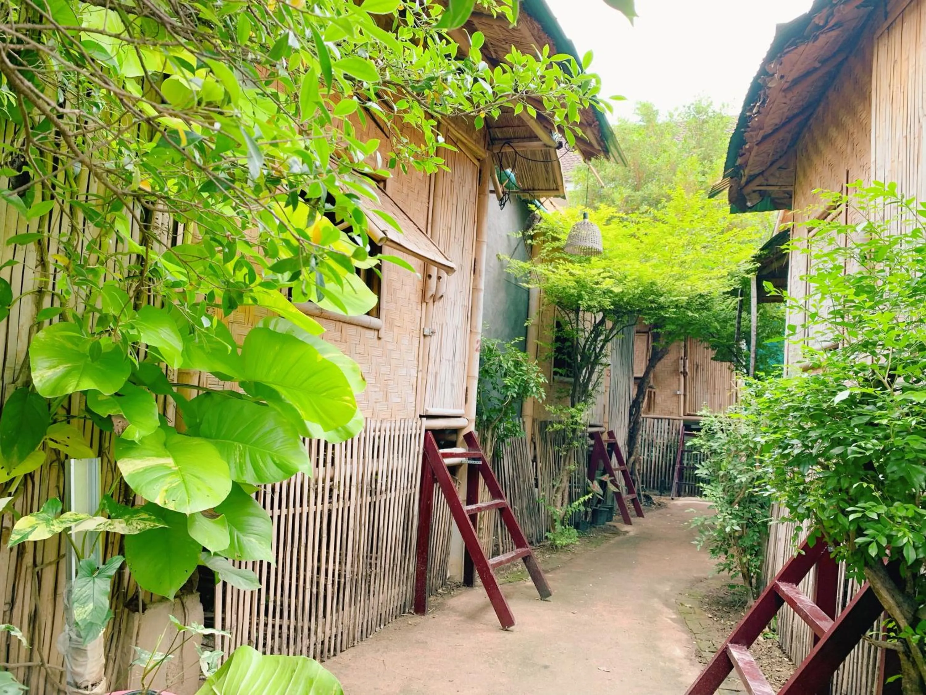 Property building in Fundee Story Guesthouse Bamboo House in Chiang mai old town