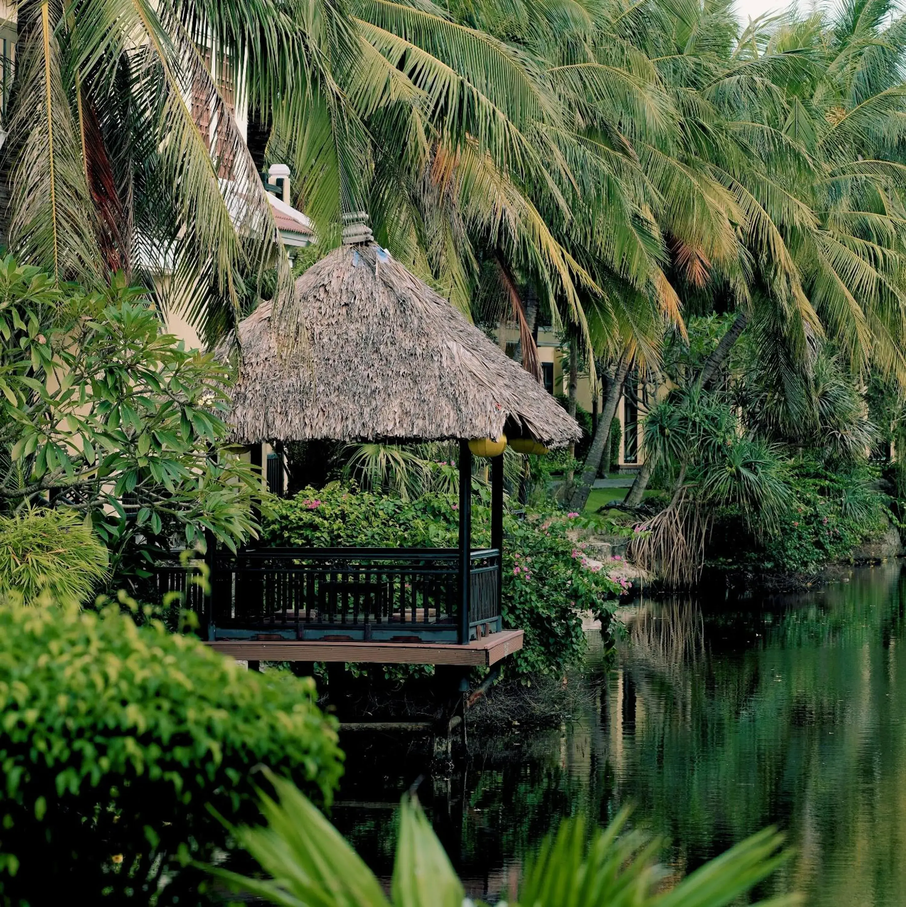 Lake view in Koi Resort & Spa Hoi An Lake view in Koi Resort & Spa Hoi An