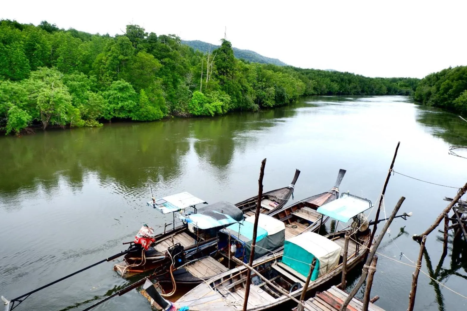 Natural landscape in Bussarin Mansion Koh Yao Yai
