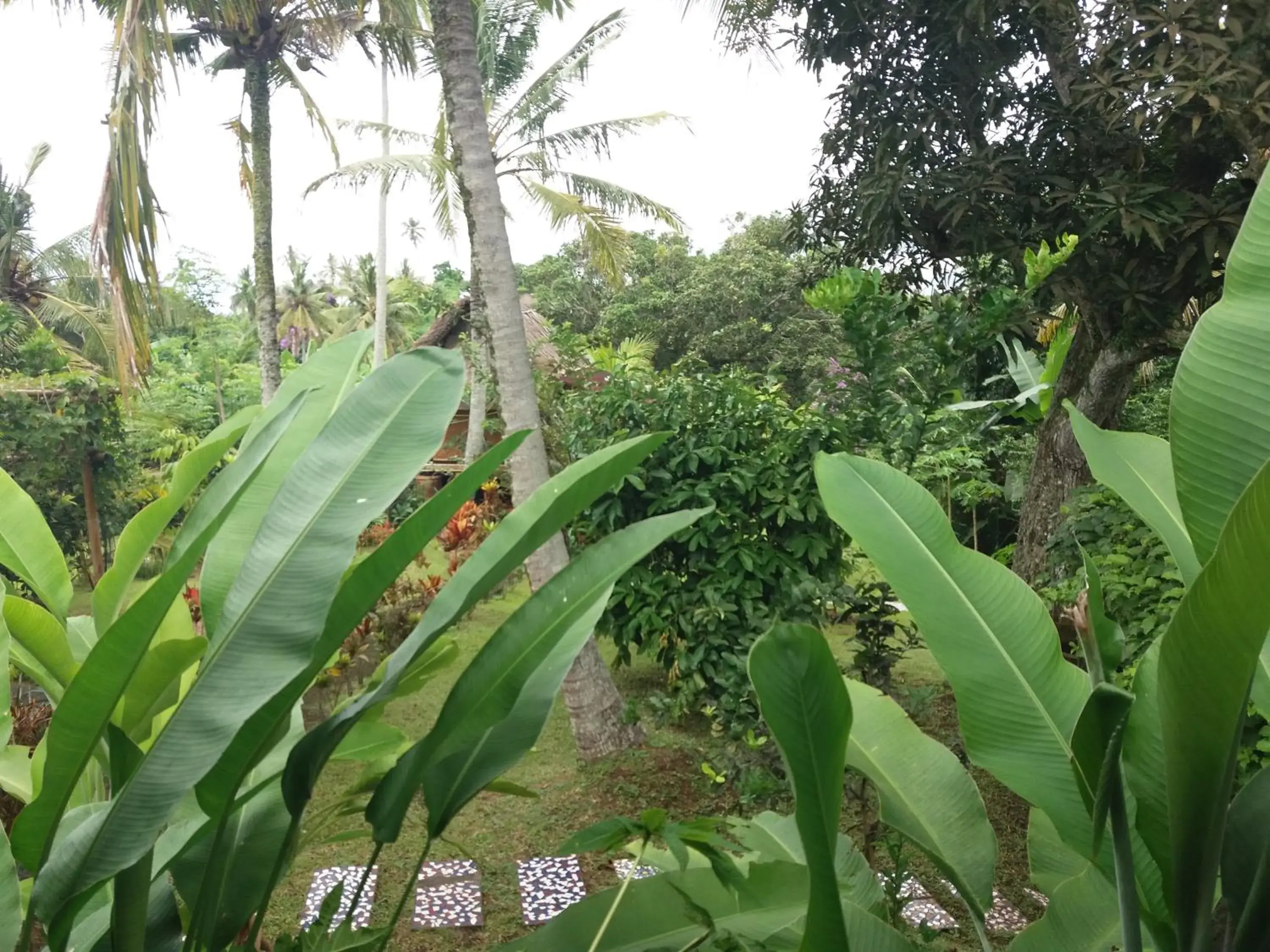 Villa in Villa Gede Private Guest House Villa in Villa Gede Private Guest House