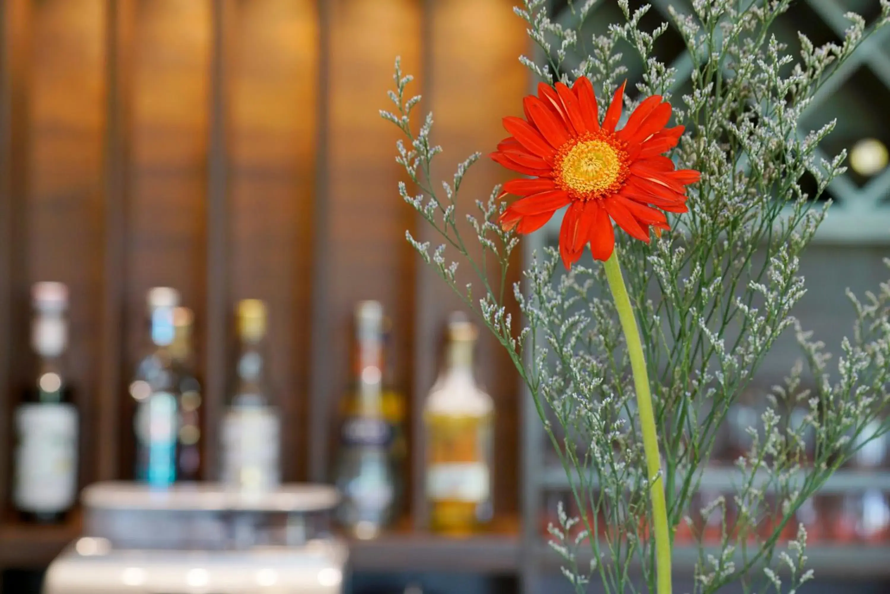 Restaurant/places to eat in Hoi An Field Boutique Resort & Spa Restaurant/places to eat in Hoi An Field Boutique Resort & Spa