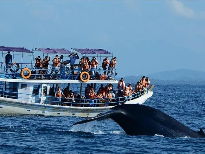 Nearby landmark in Neem Jay Beach Resort
