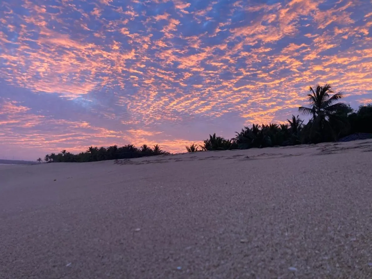 Beach in Neem Jay Beach Resort