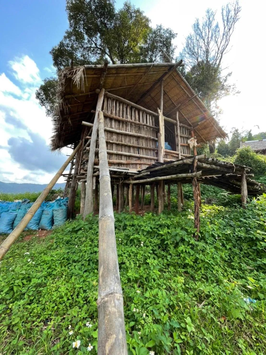 Natural landscape in Shin Sane Guest House