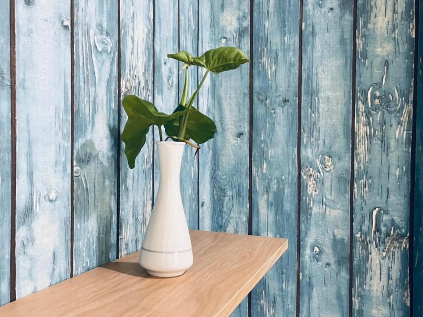 Property building in Shin Sane Guest House