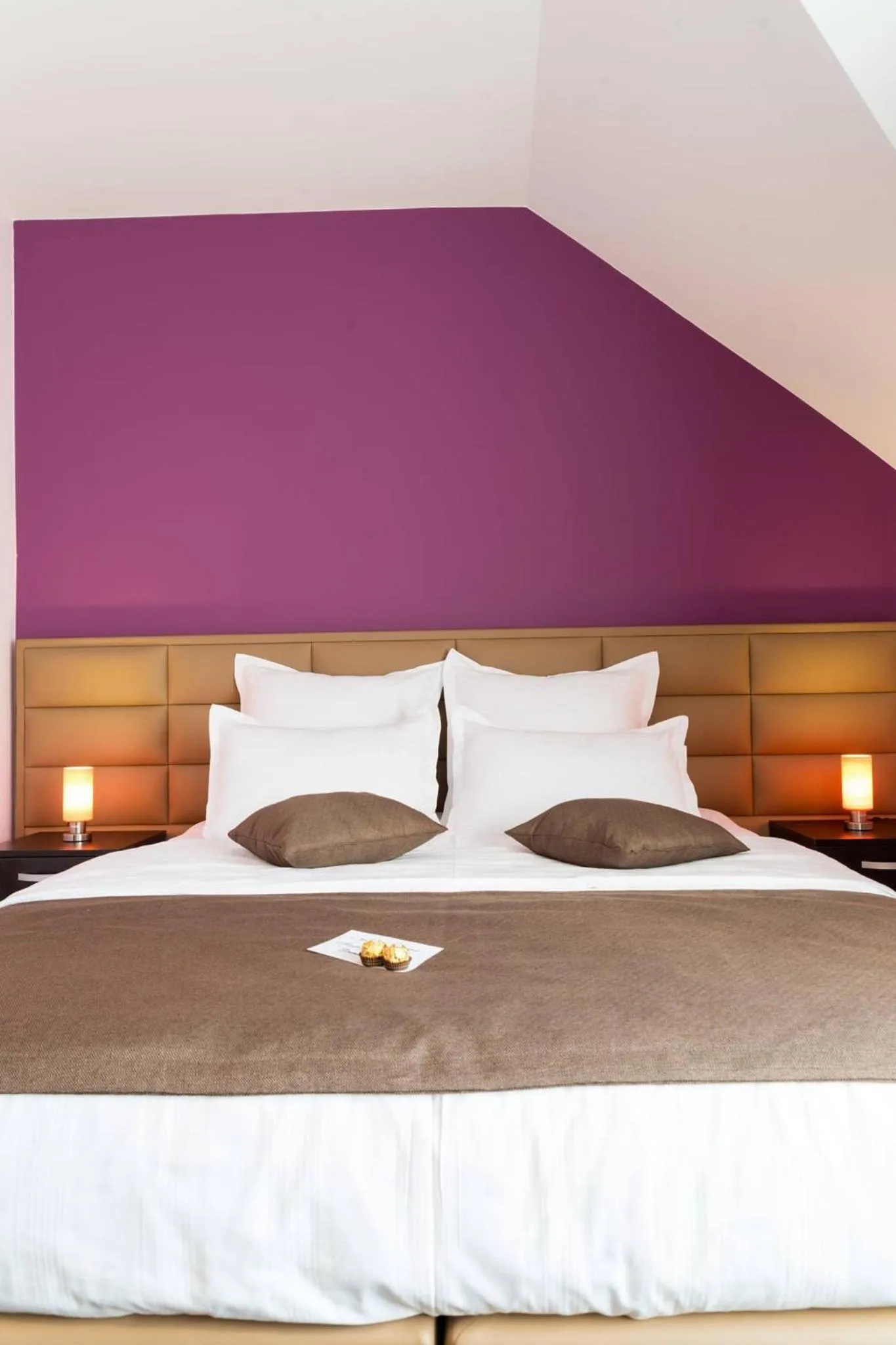 Bed in Pridvorul Haiducilor