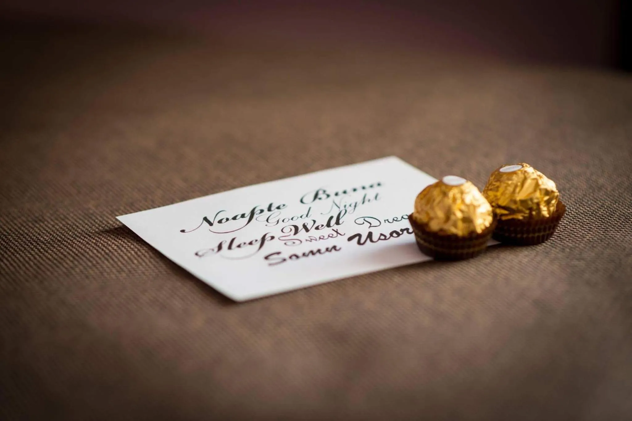 Decorative detail in Pridvorul Haiducilor