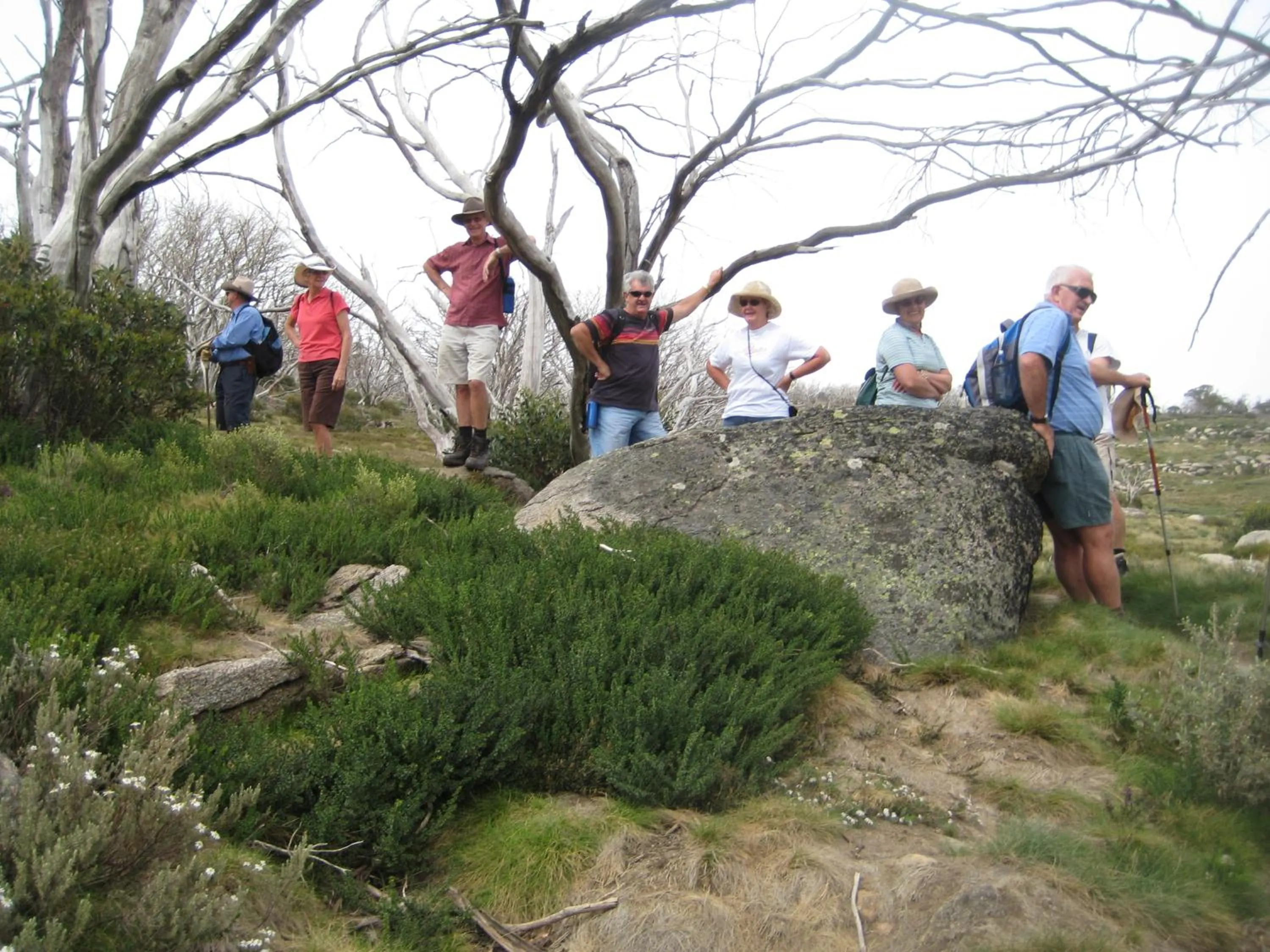 Kosciusko Tourist Park