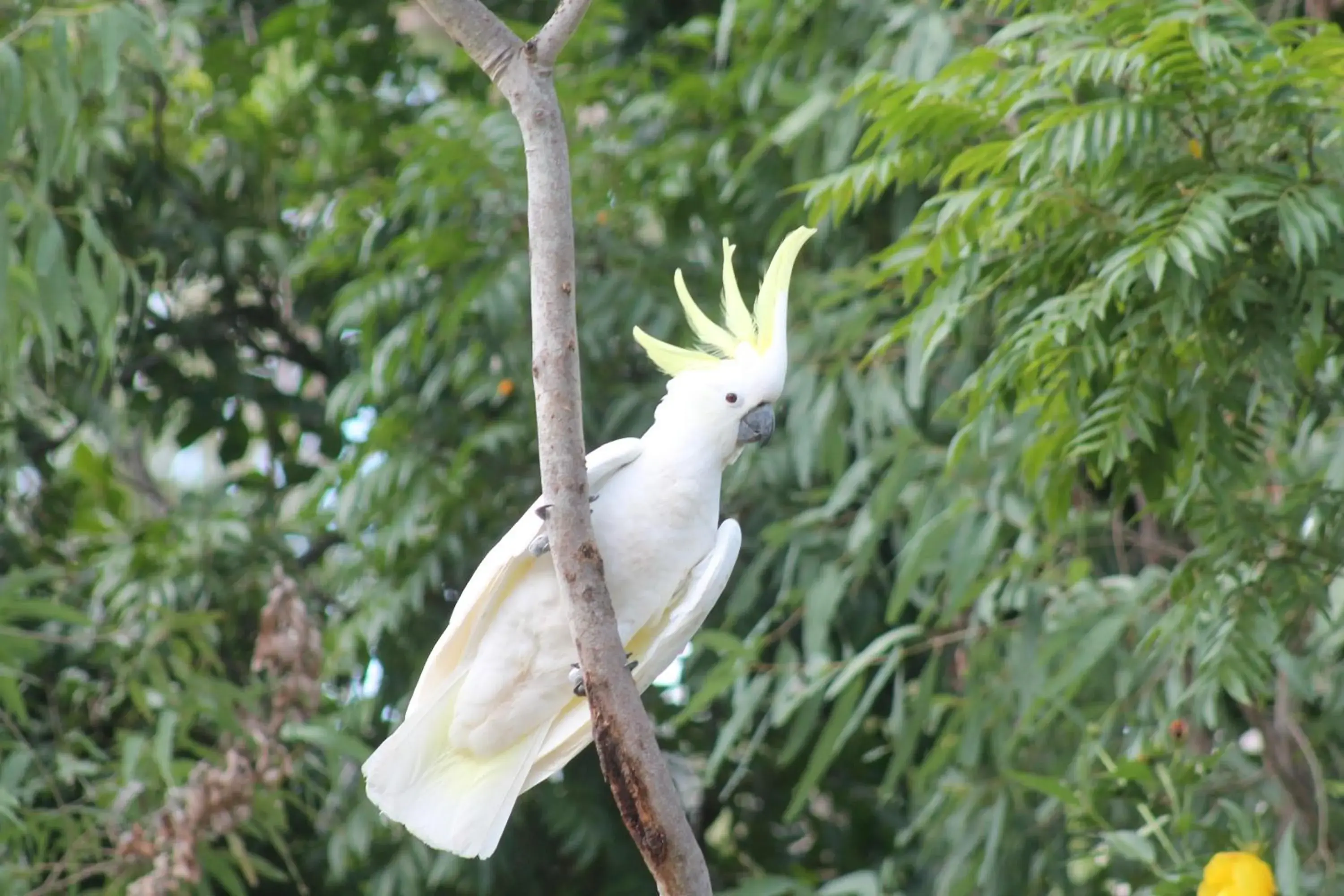 View (from property/room) in Airlie Beach Eco Cabins - Adults Only View (from property/room) in Airlie Beach Eco Cabins - Adults Only