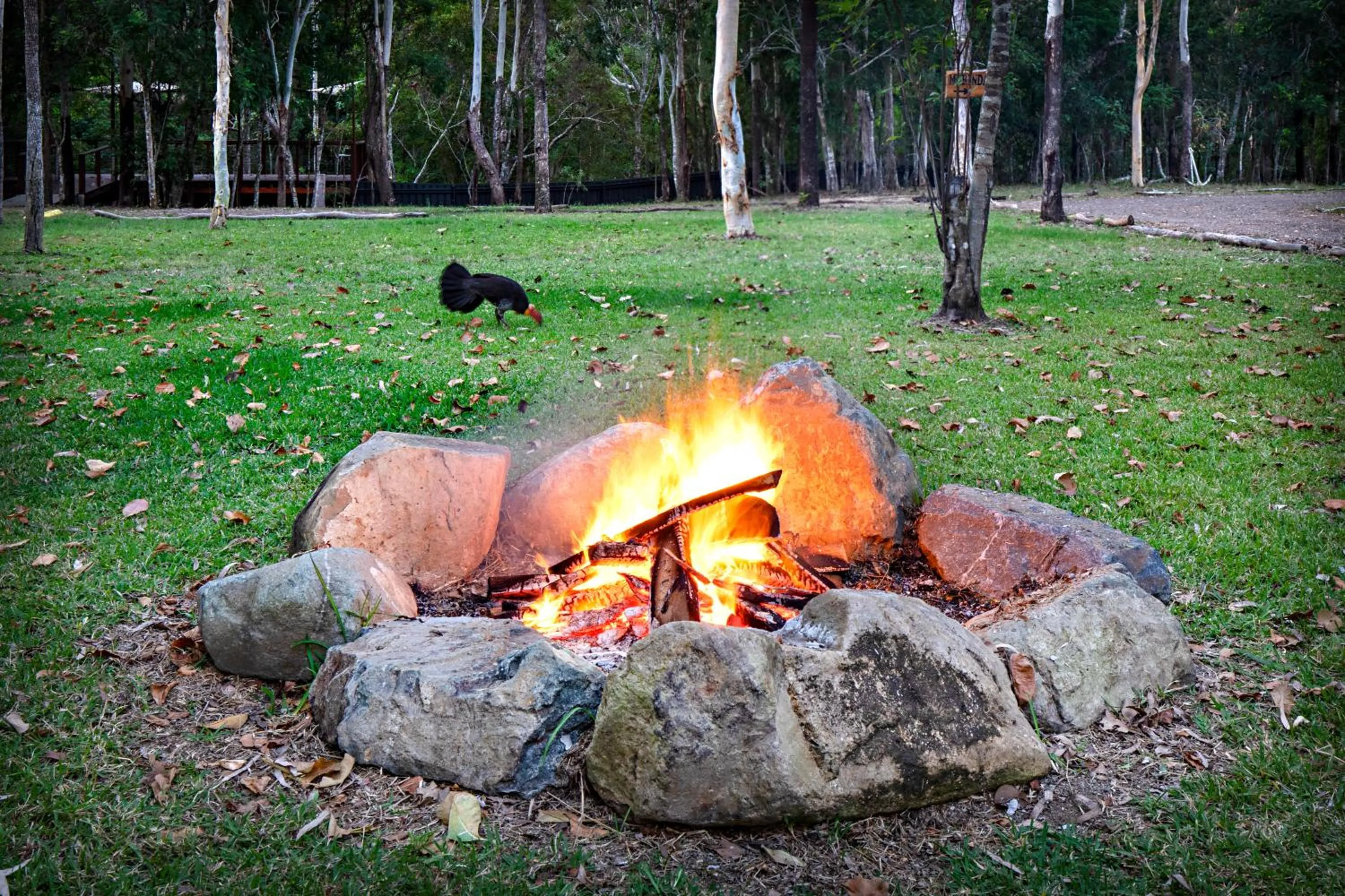 Patio in Airlie Beach Eco Cabins - Adults Only