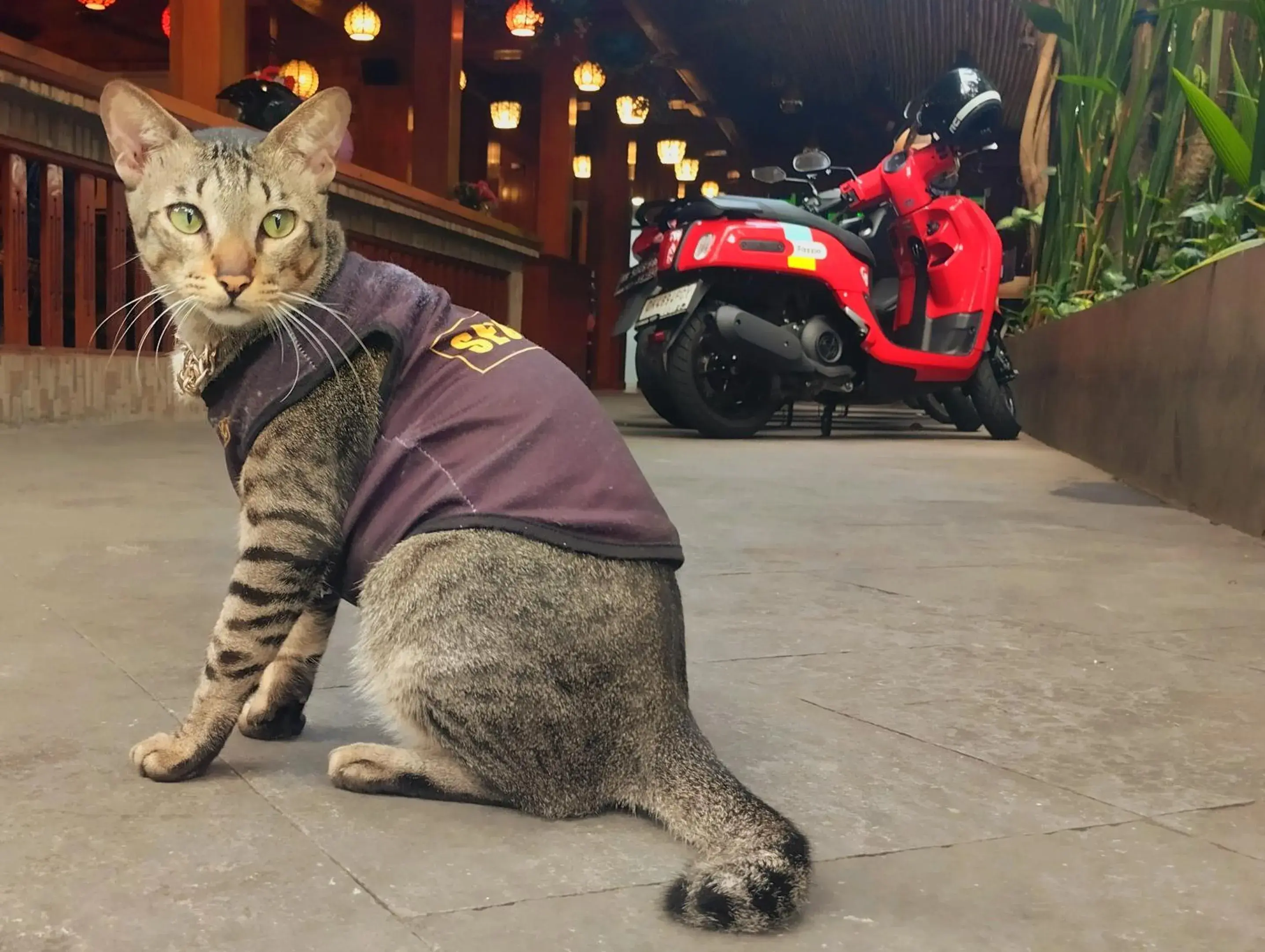 Property building in Seahouse Bali Indah Beach Inn Property building in Seahouse Bali Indah Beach Inn