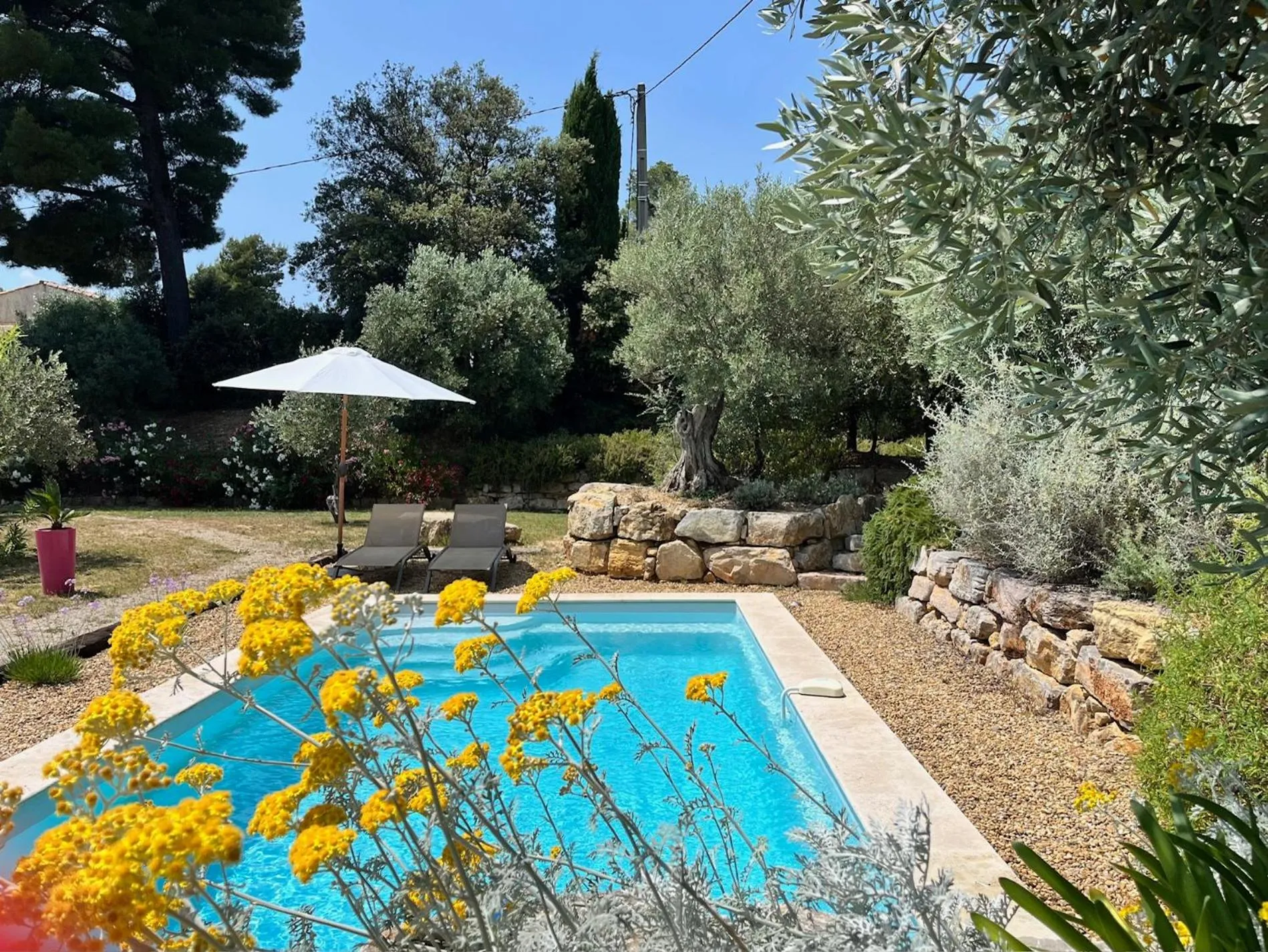 Garden in La Villa Aux Oliviers